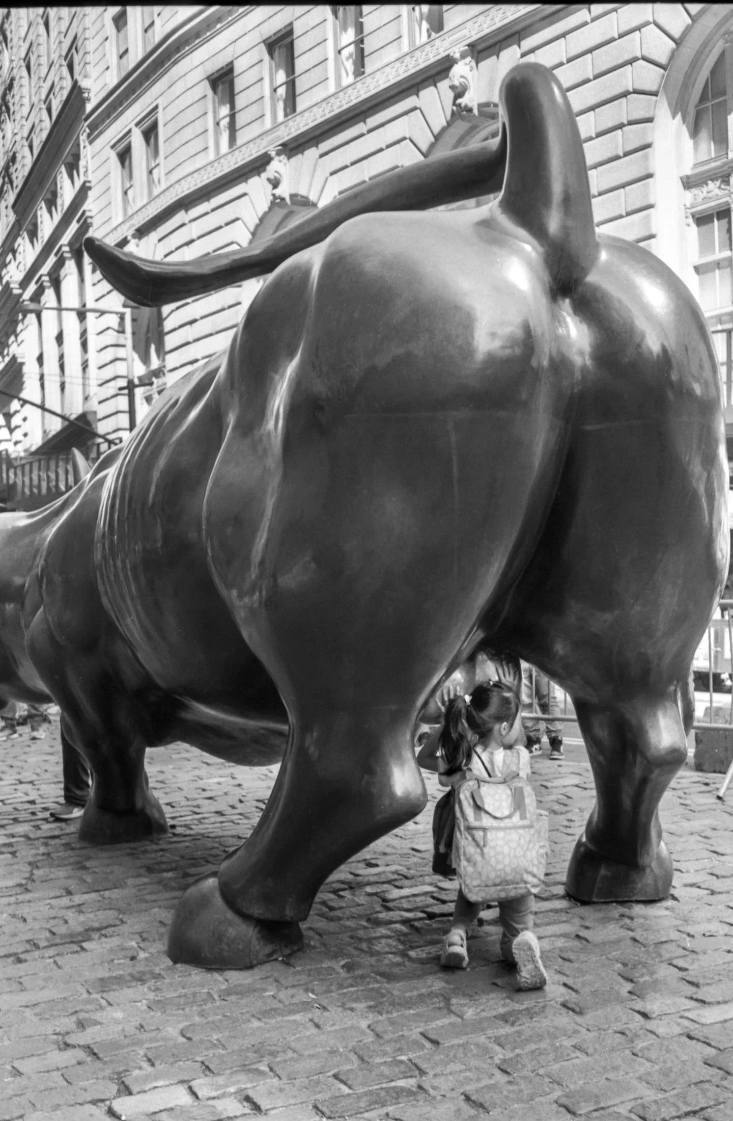 Wall street bull, NY 2024.jpg