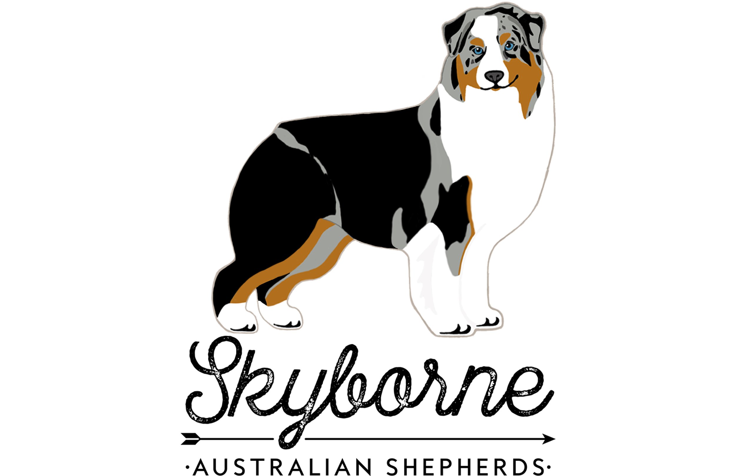 Skyborne Australian Shepherds