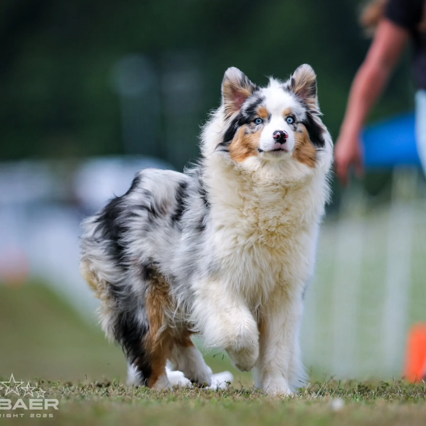 Making lemonade out of lemons. 🍋 
It's been a rough week here. 🥴 I totaled my car on the 9th and then Matt hurt his back (fractured his T9 on the 16th). While running tests, they also found excess fluid in his brain that they believe to be unrelat