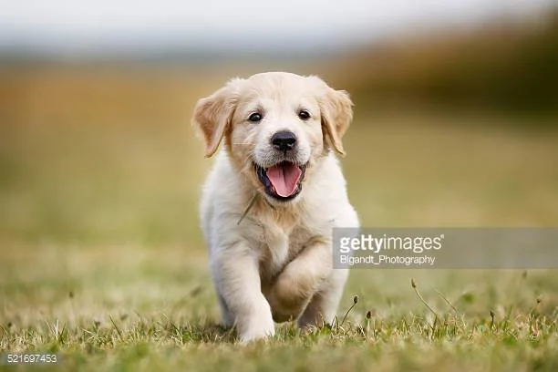 Photo by Bigandt_Photography/iStock / Getty Images