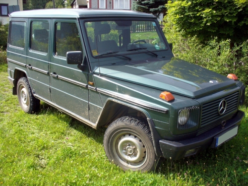 1980's G Wagen, parked on someone's lawn. Photo by Thomas Doerfer