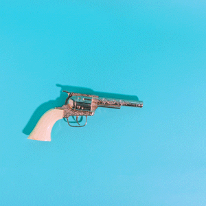 bangbang_opt2_GTB.gif