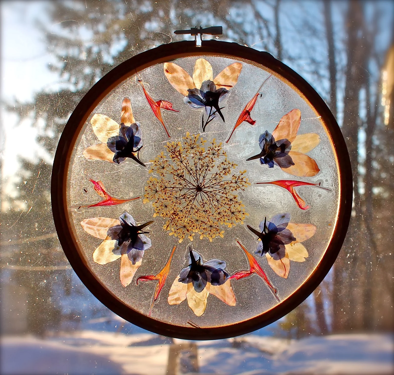 nature_mandala02.jpg