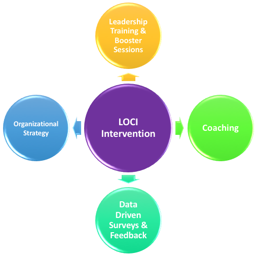 LOCI flowchart graphic with background.png