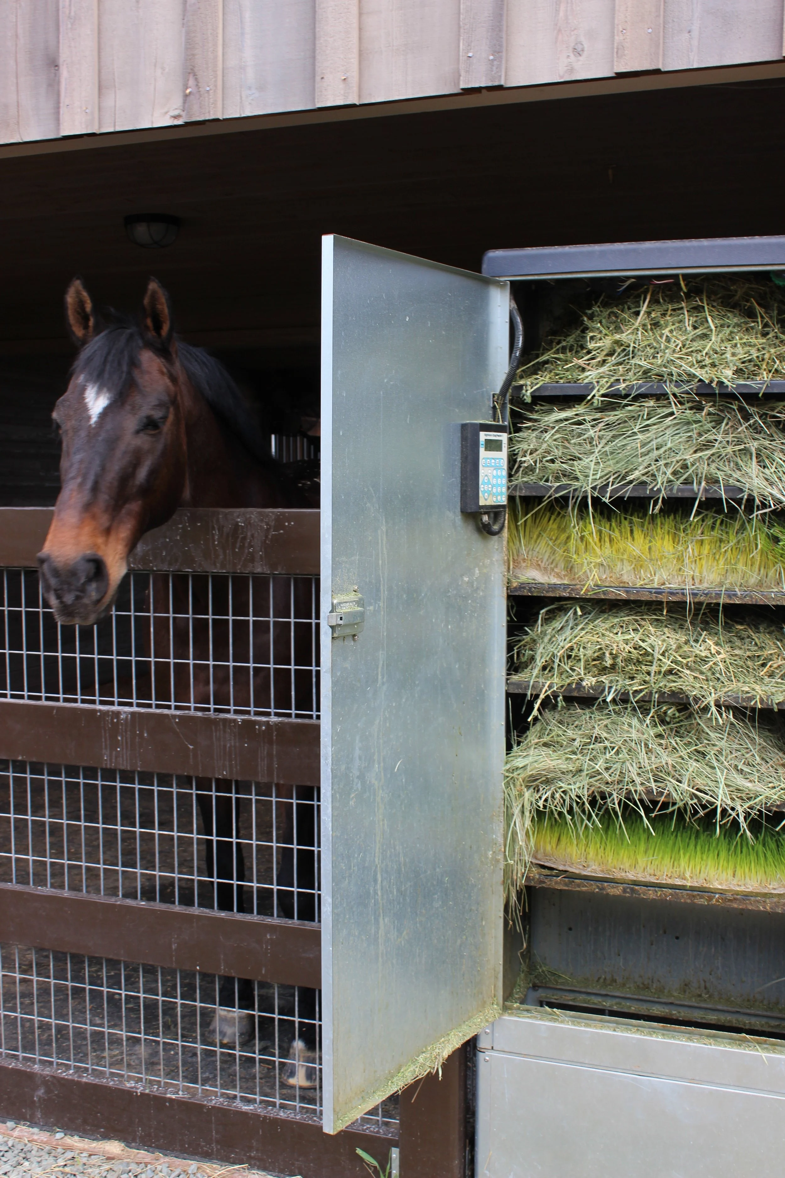 Facilities Iron Rock Dressage