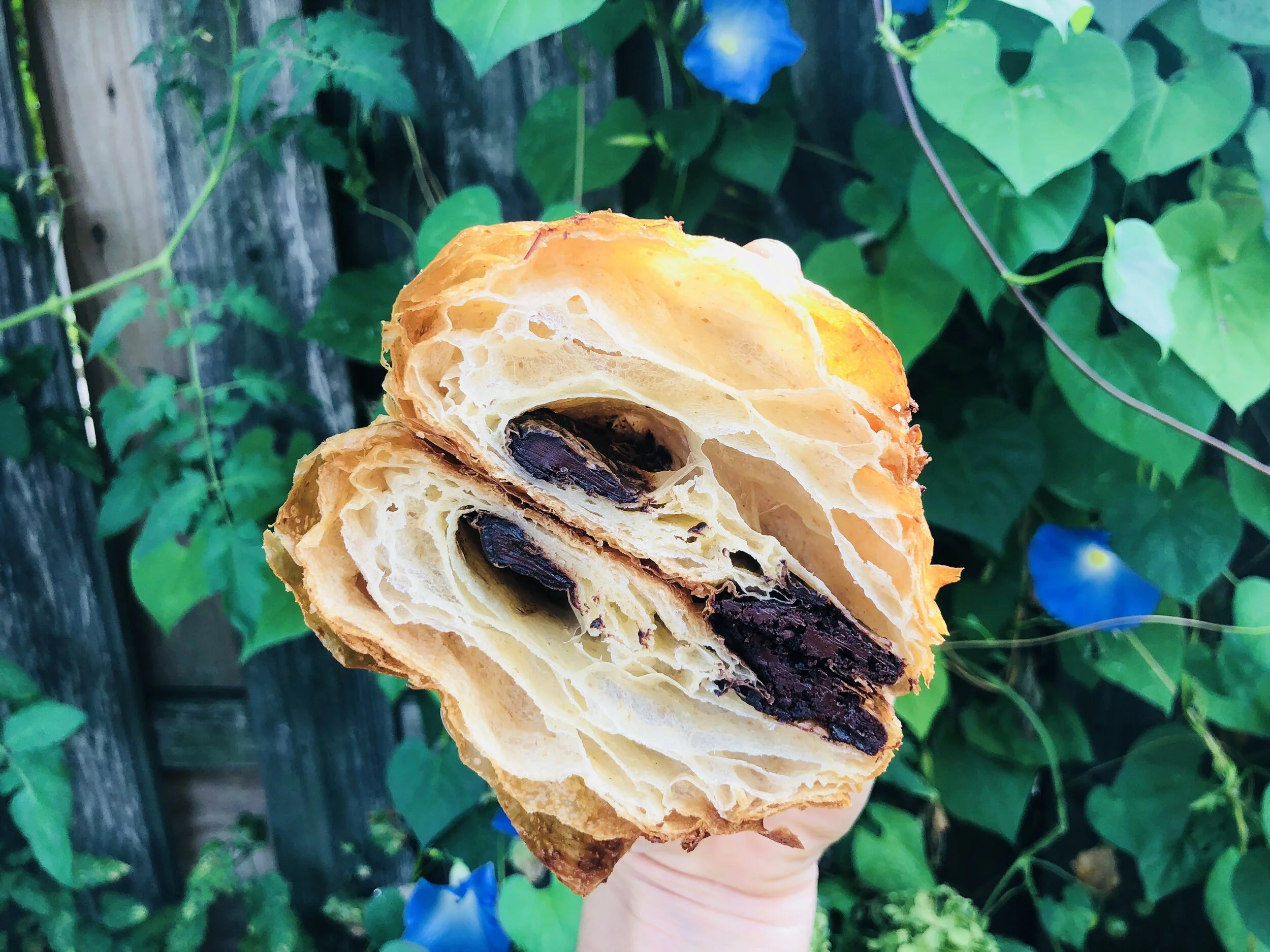 Chocolate Croissant