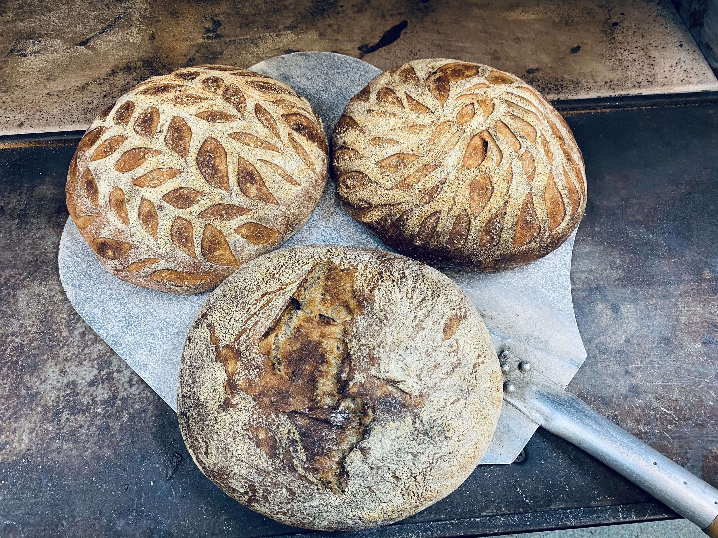 Sourdough Loaves