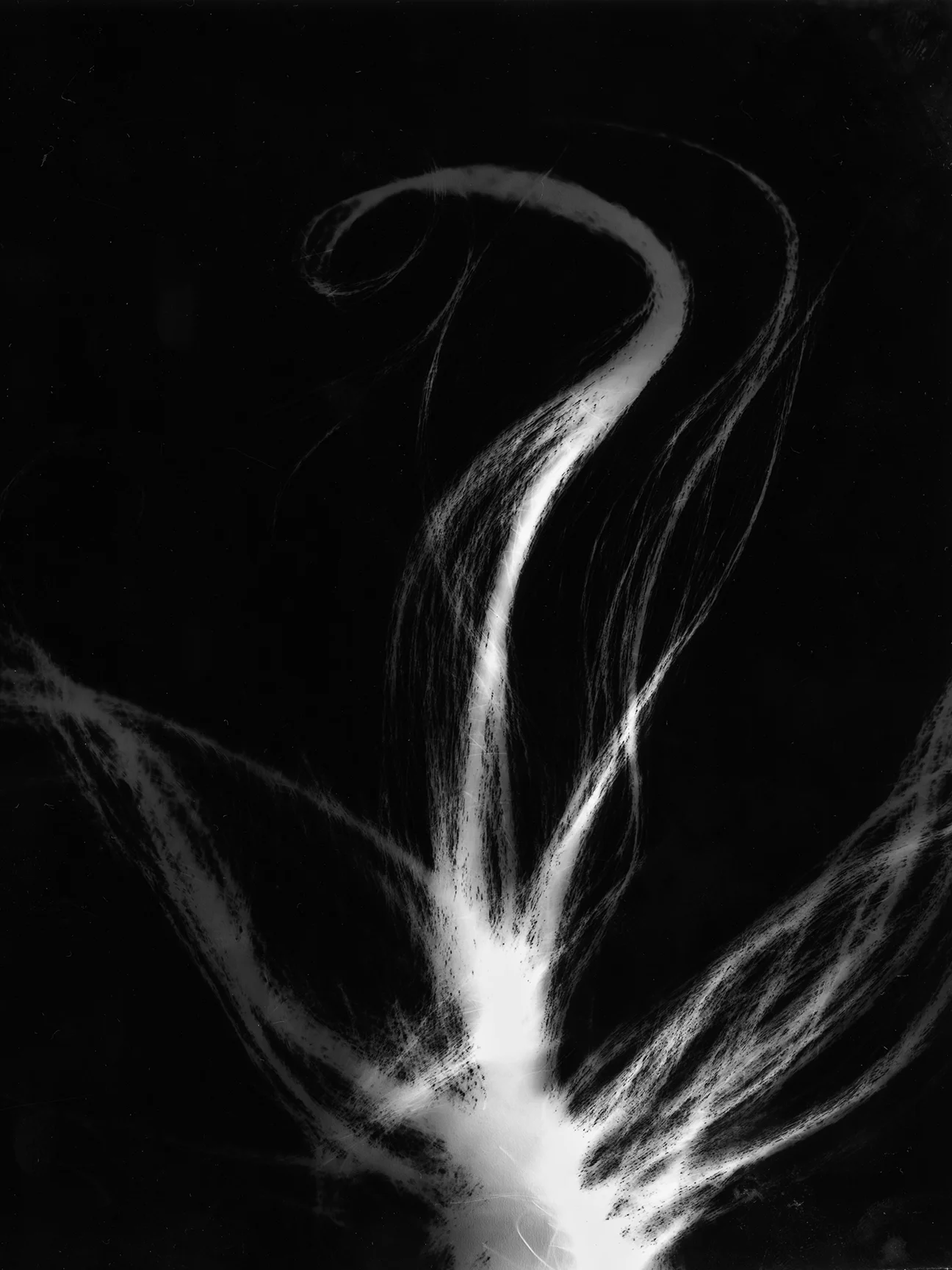 hairogram for sccc faculty show.jpg