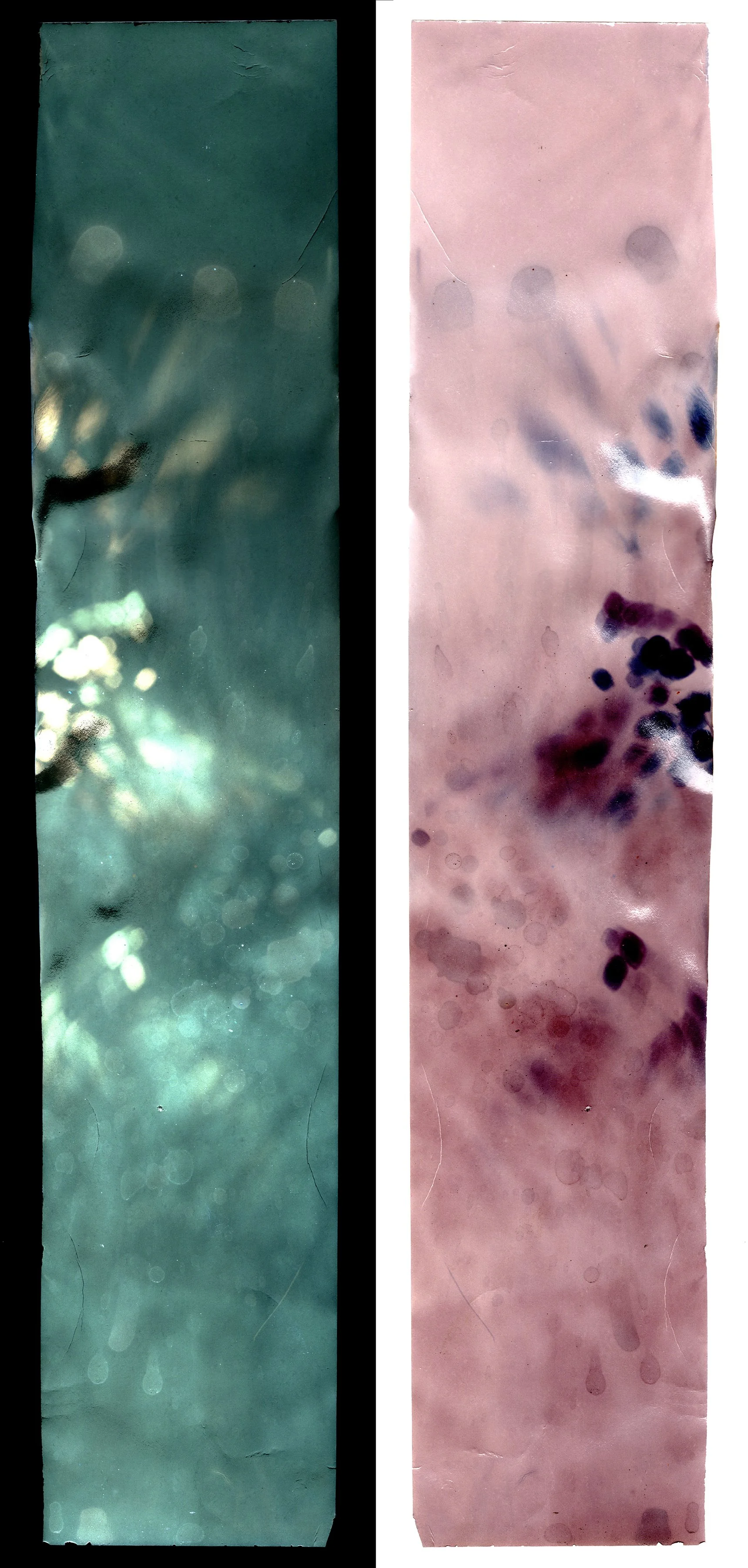  Hope, February 2021-March 2021 