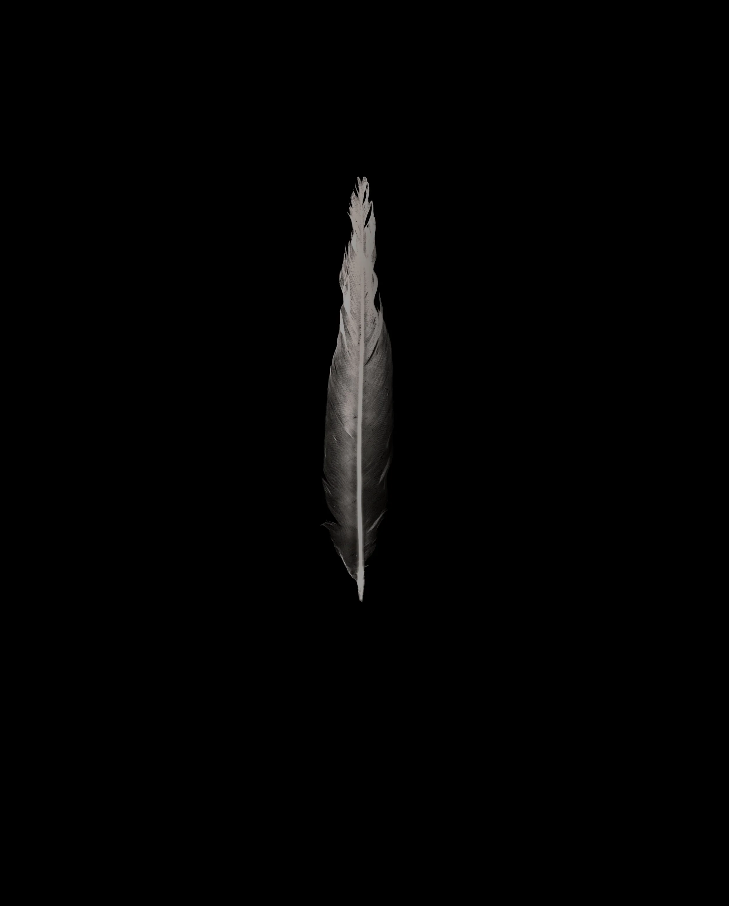 07_.jpg