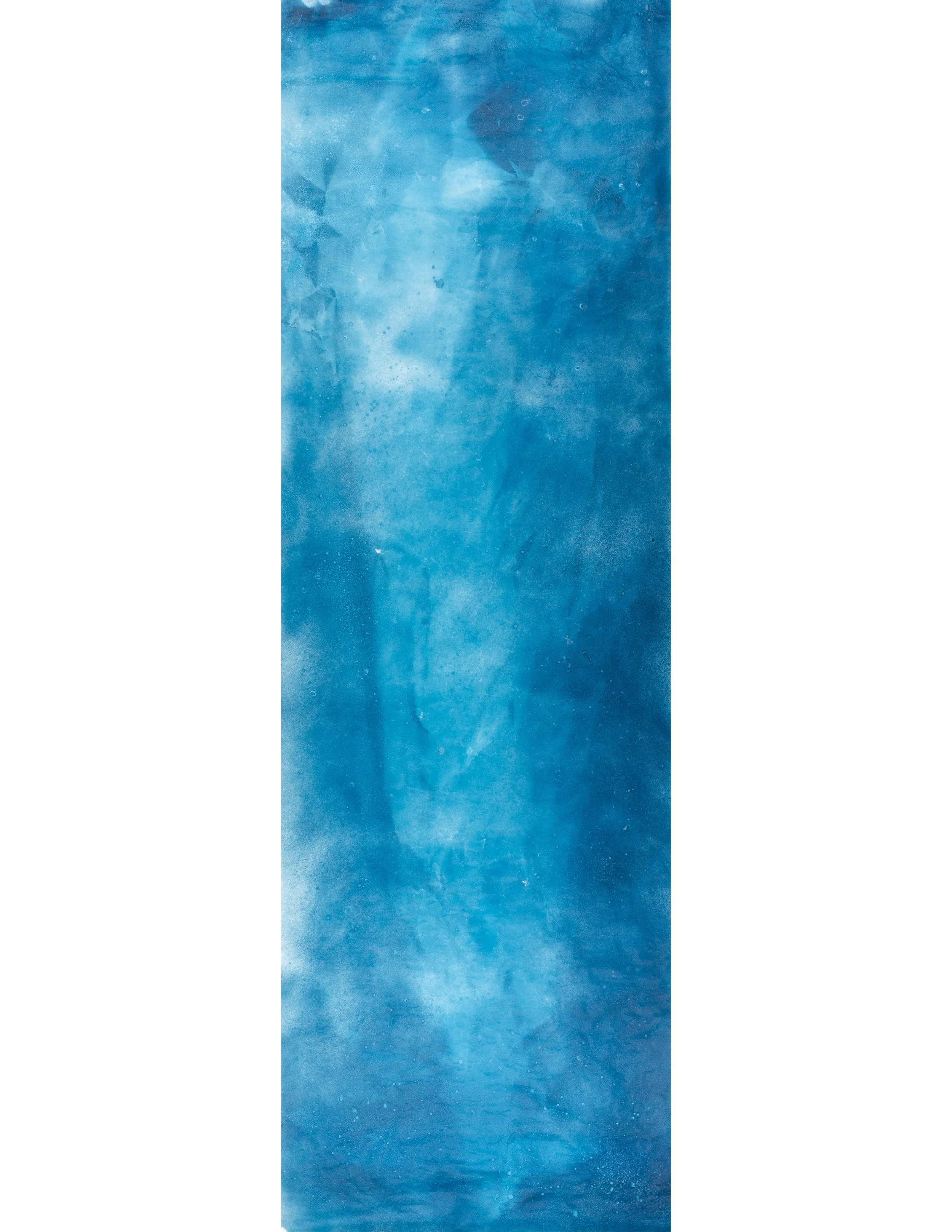  Cyanotype Impression 