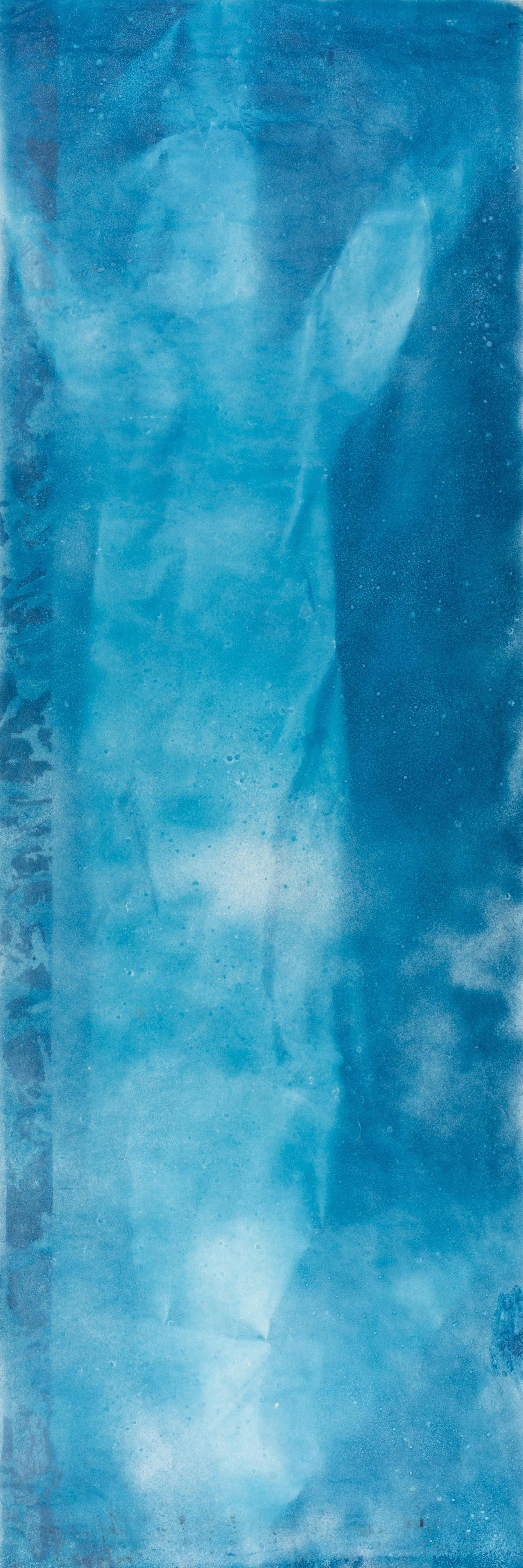  Cyanotype Impression 