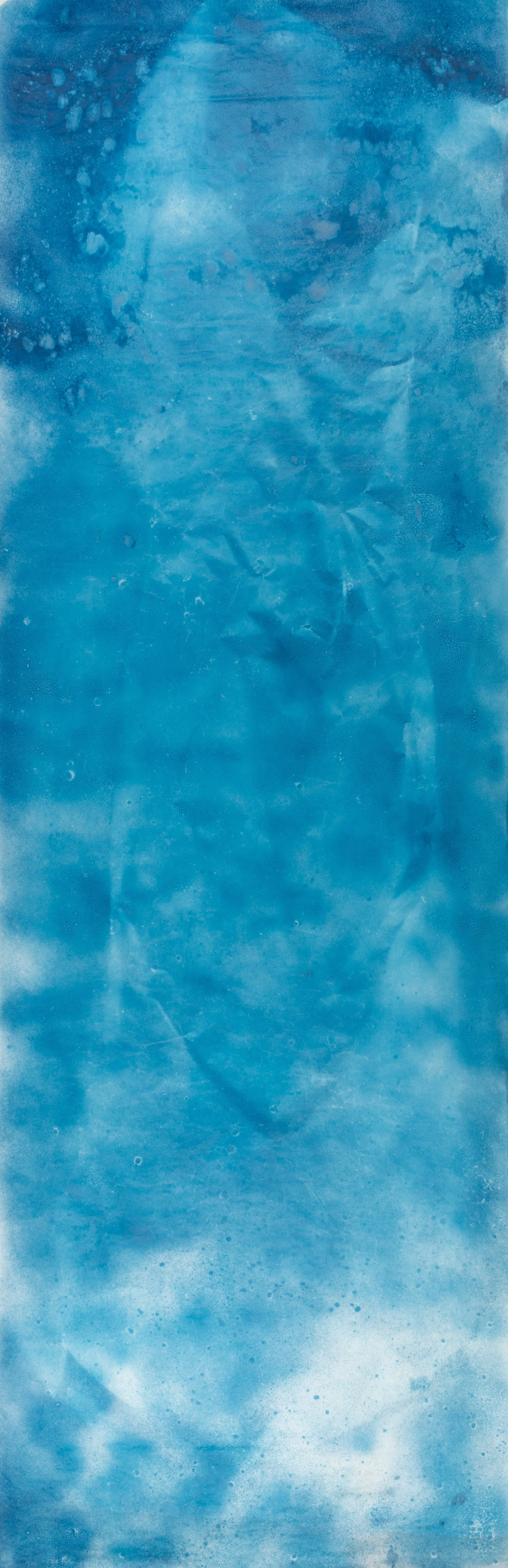  Cyanotype Impression 