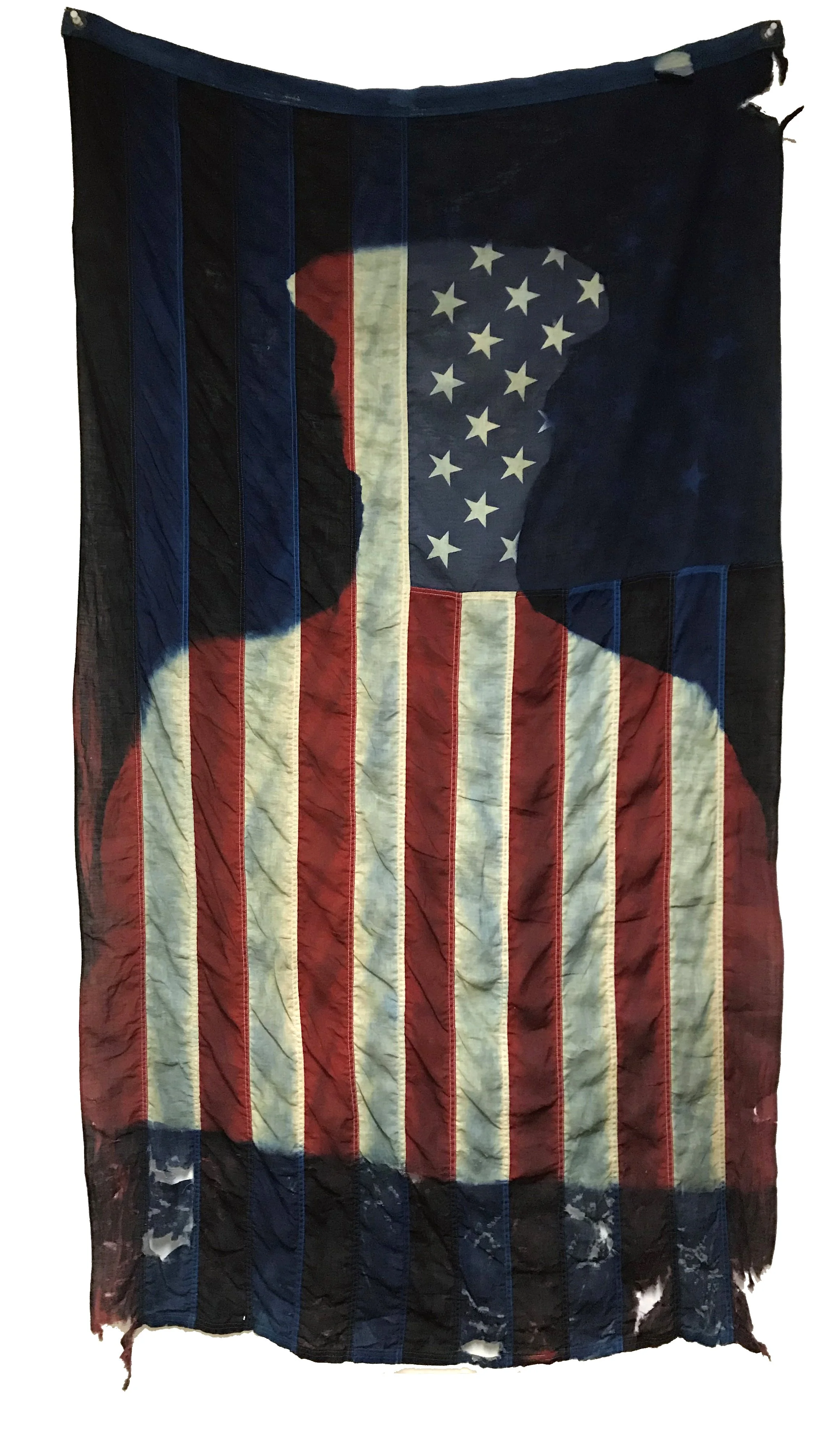  Cyanotype Impression 