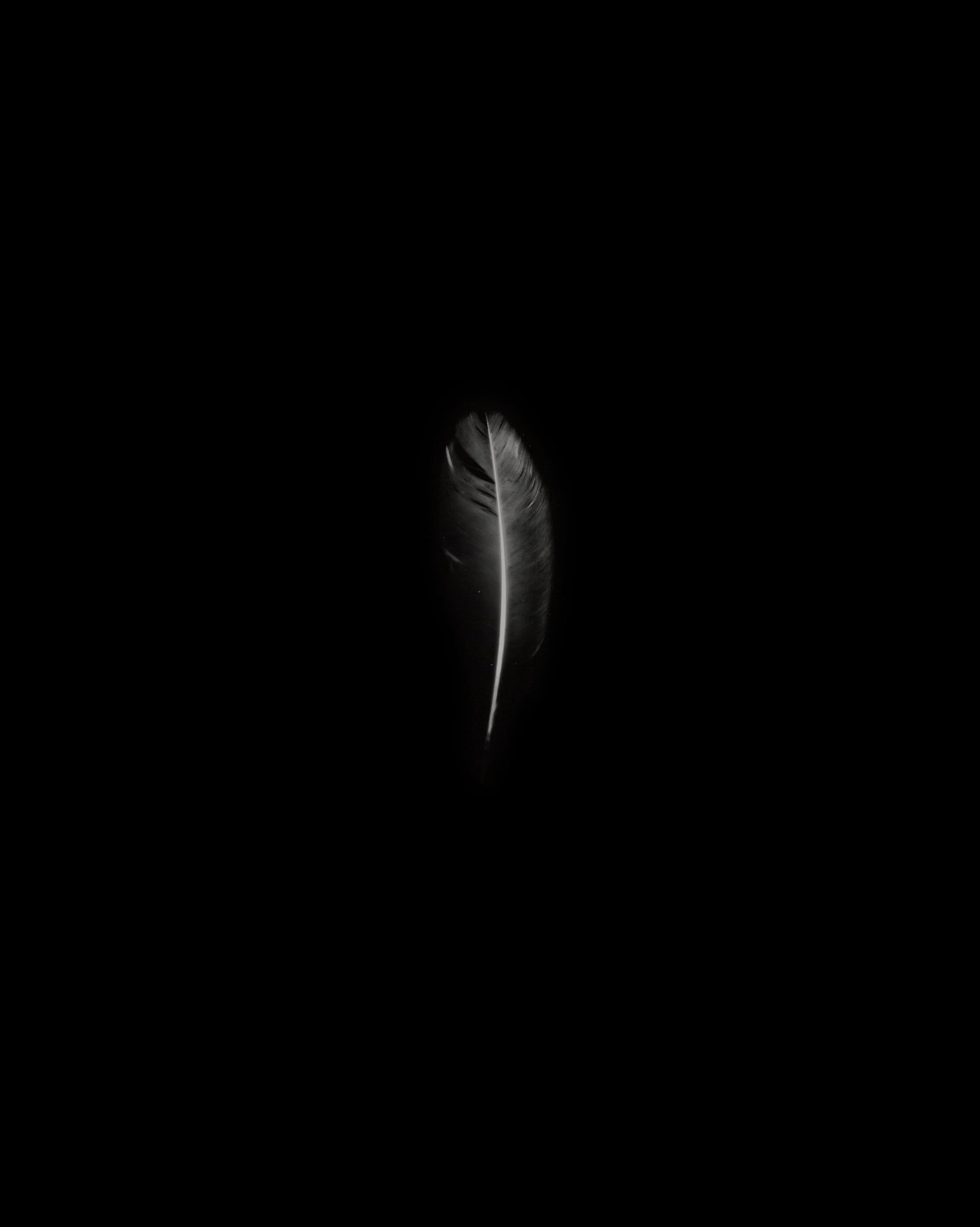Feather_23.jpg