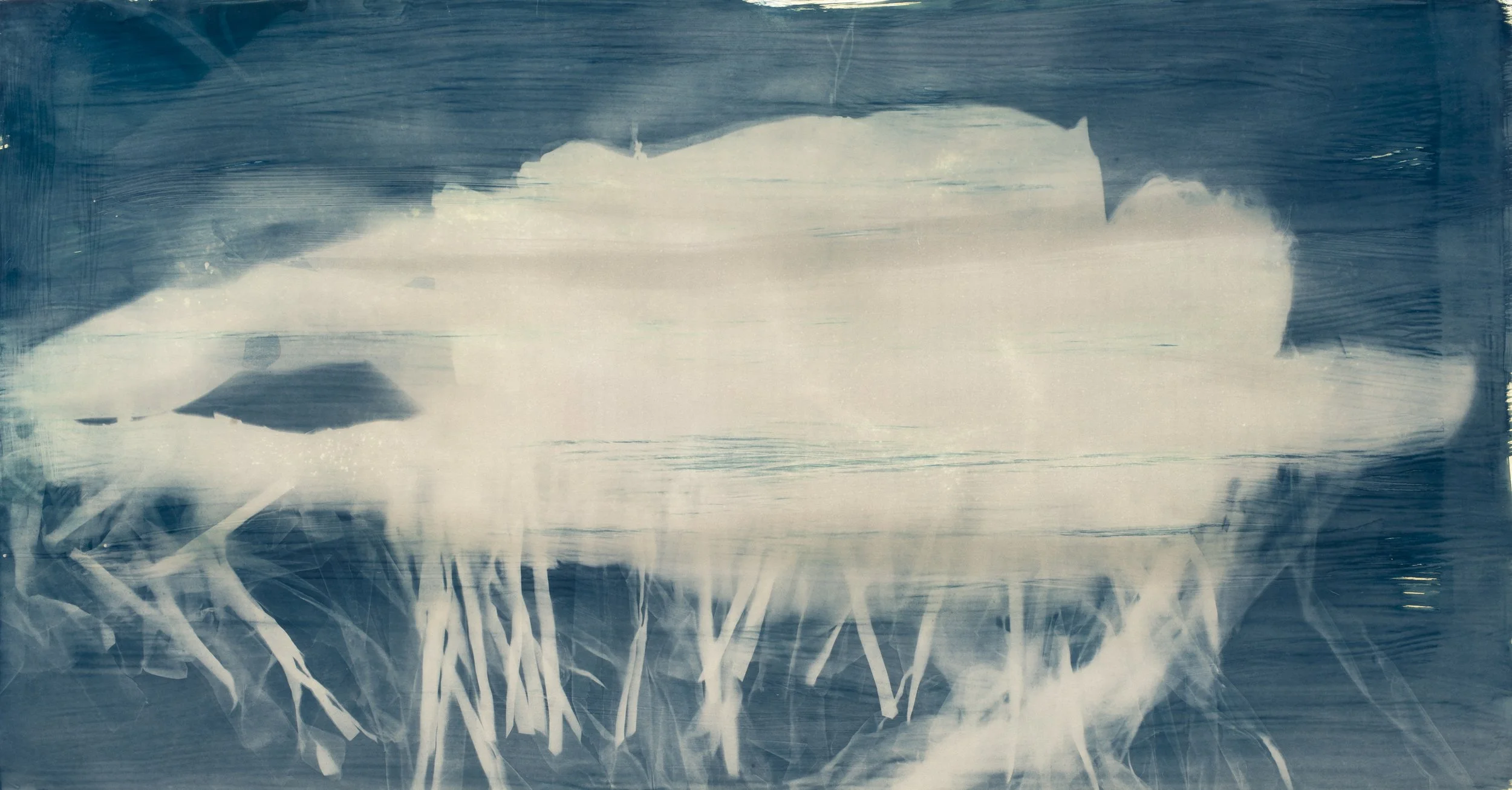  Cyanotype on Fine Art Paper 