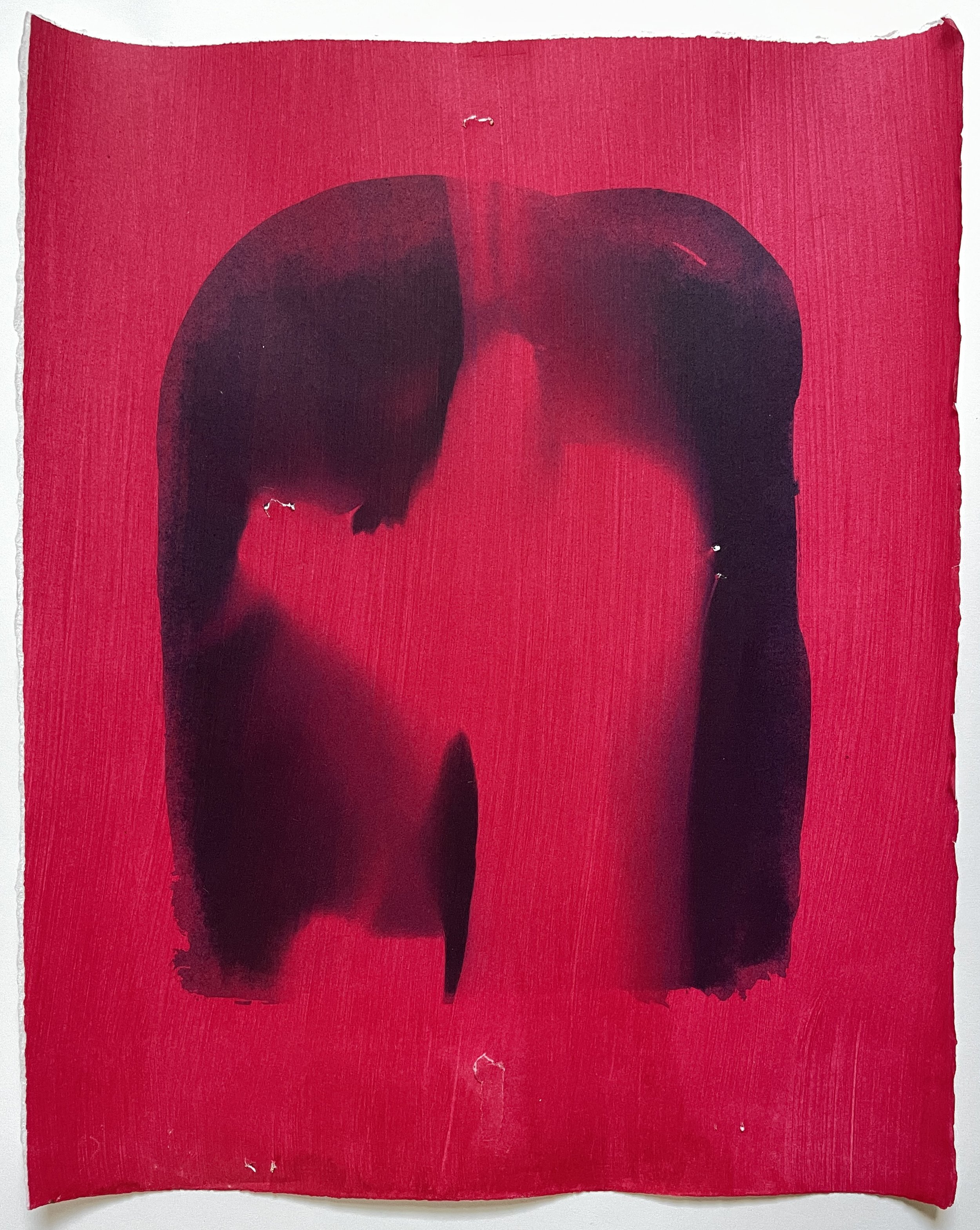  Cyanotype and Acrylic on Fine Art Paper 