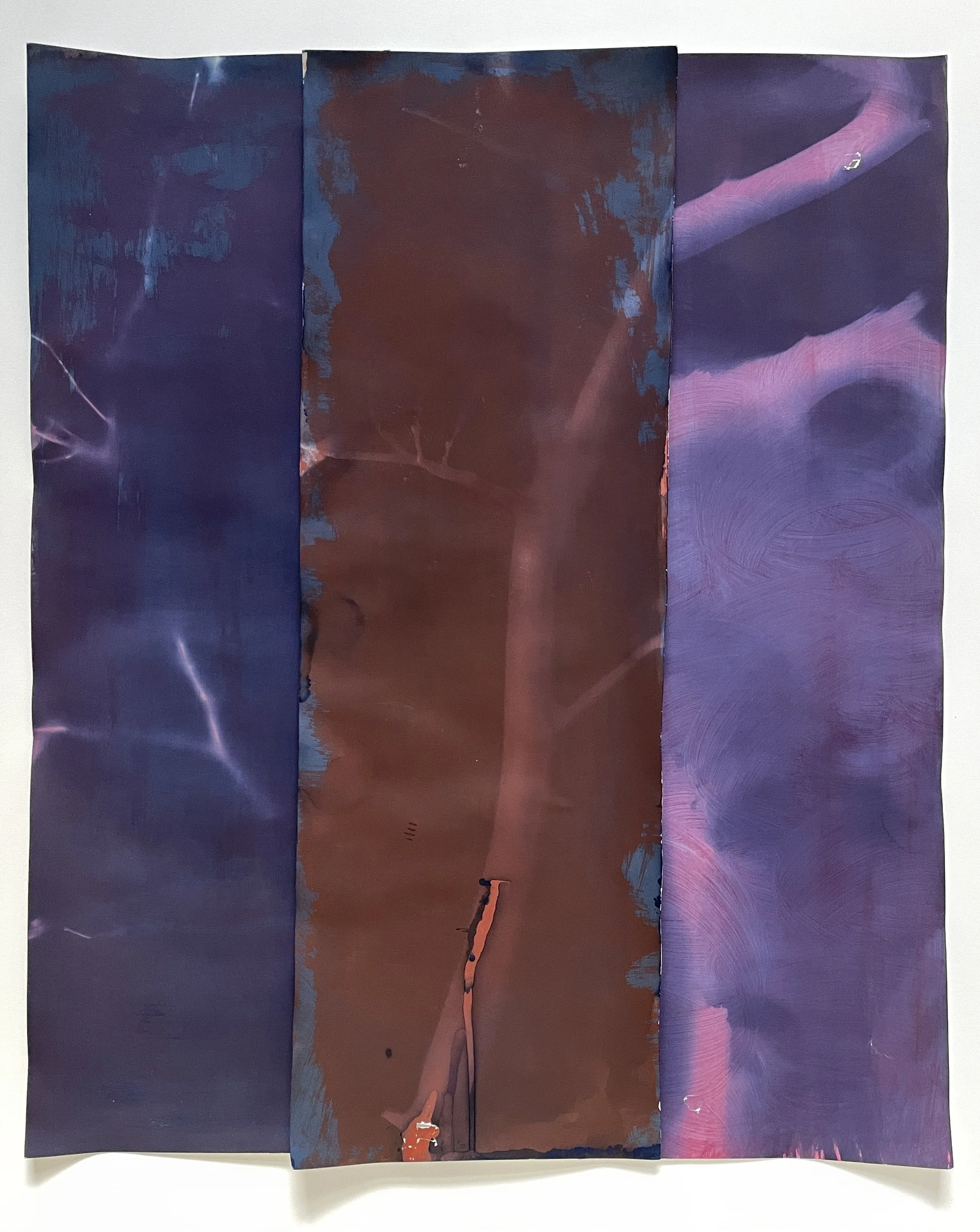  Cyanotype and Acrylic on Fine Art Paper 
