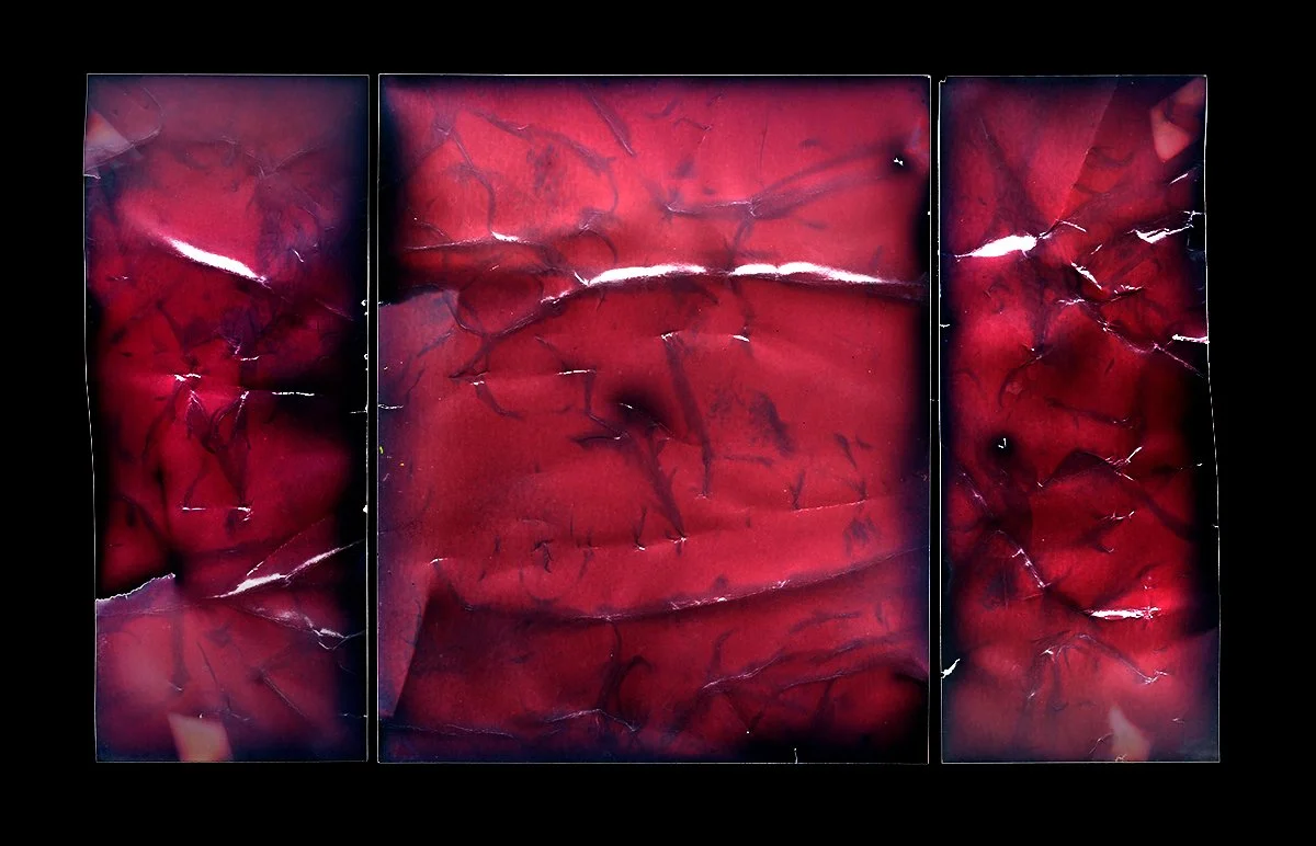  Solargraphy, 2 Month Exposure 