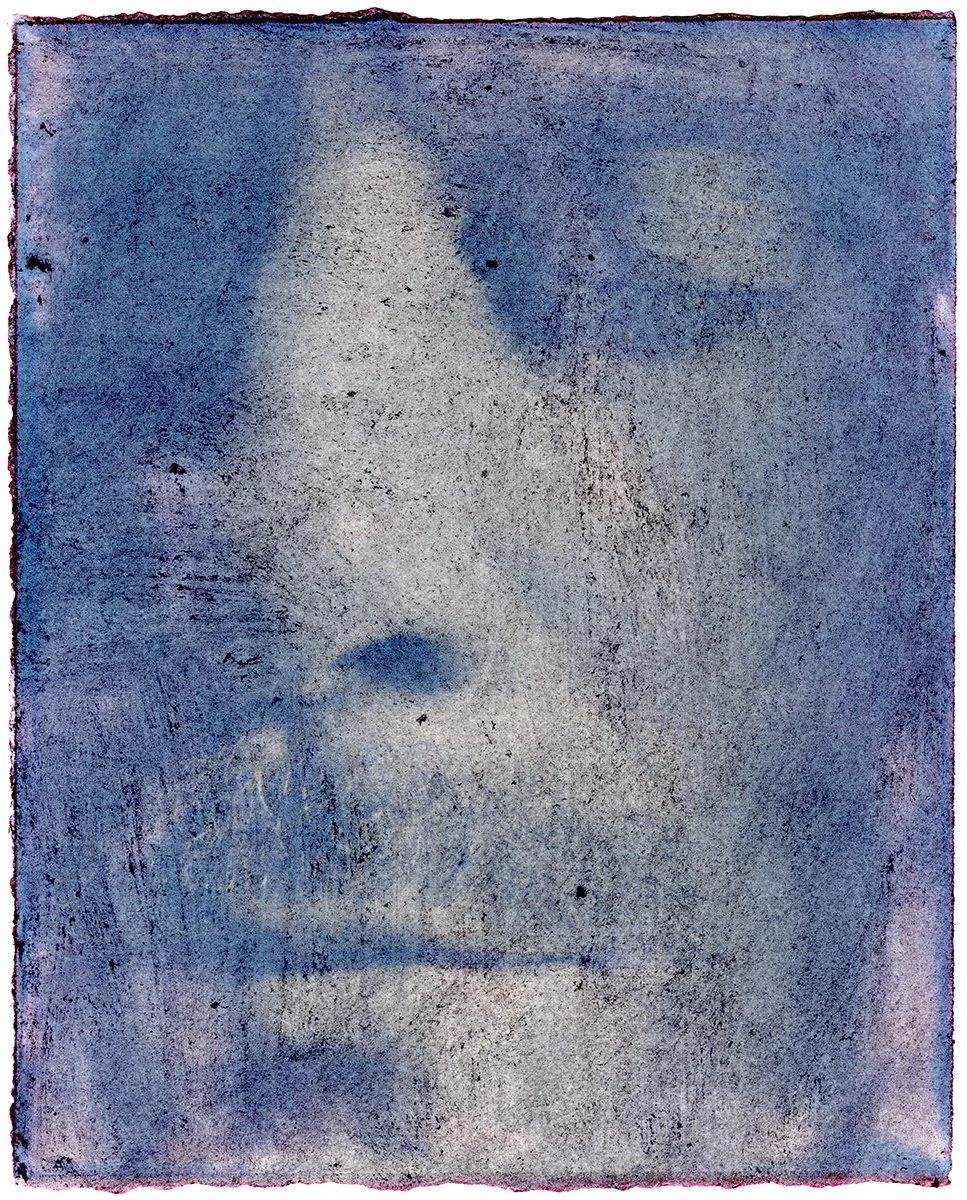 Blackberry Anthotype 