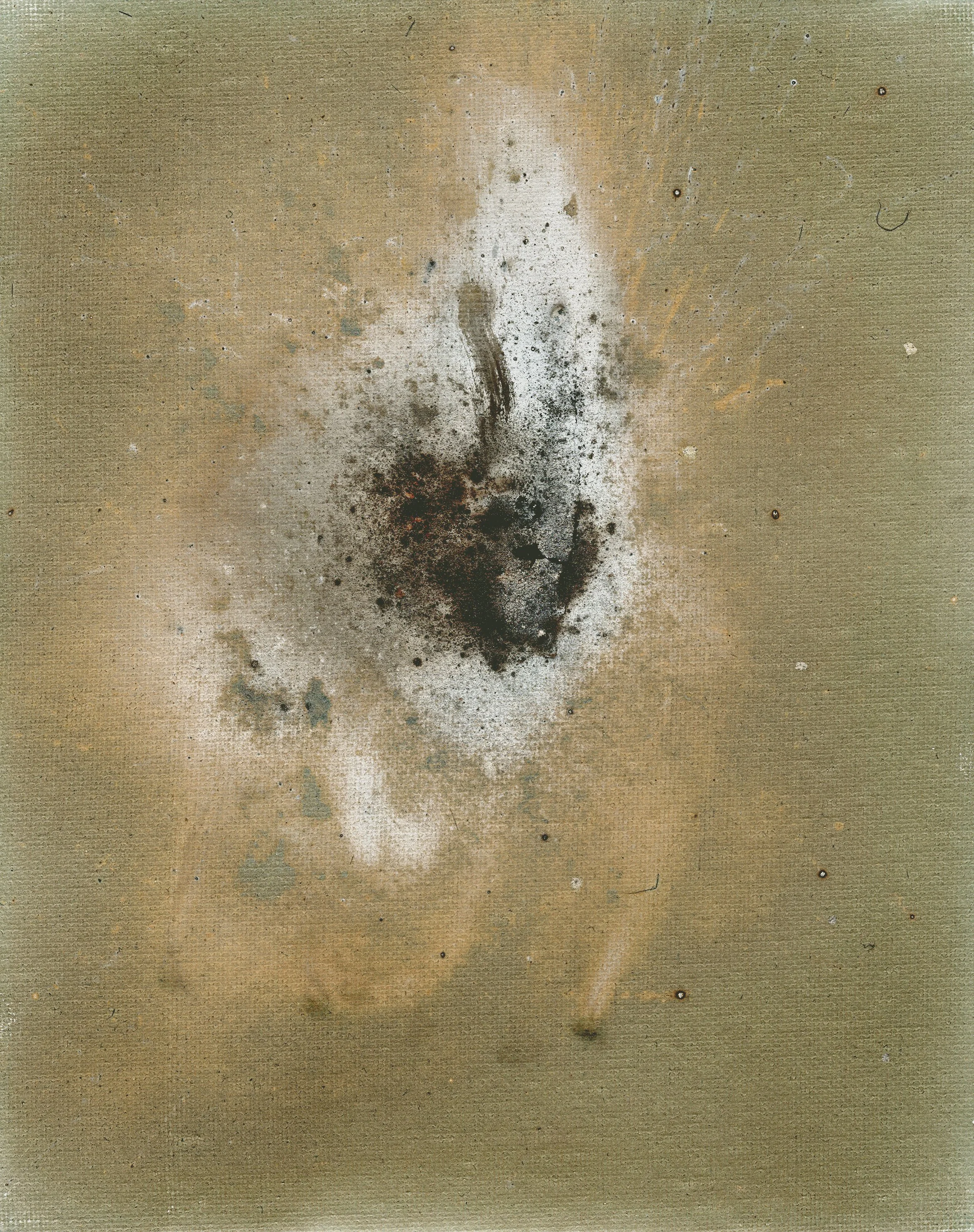  Cyanotype on Canvas, Unprocessed Impression 