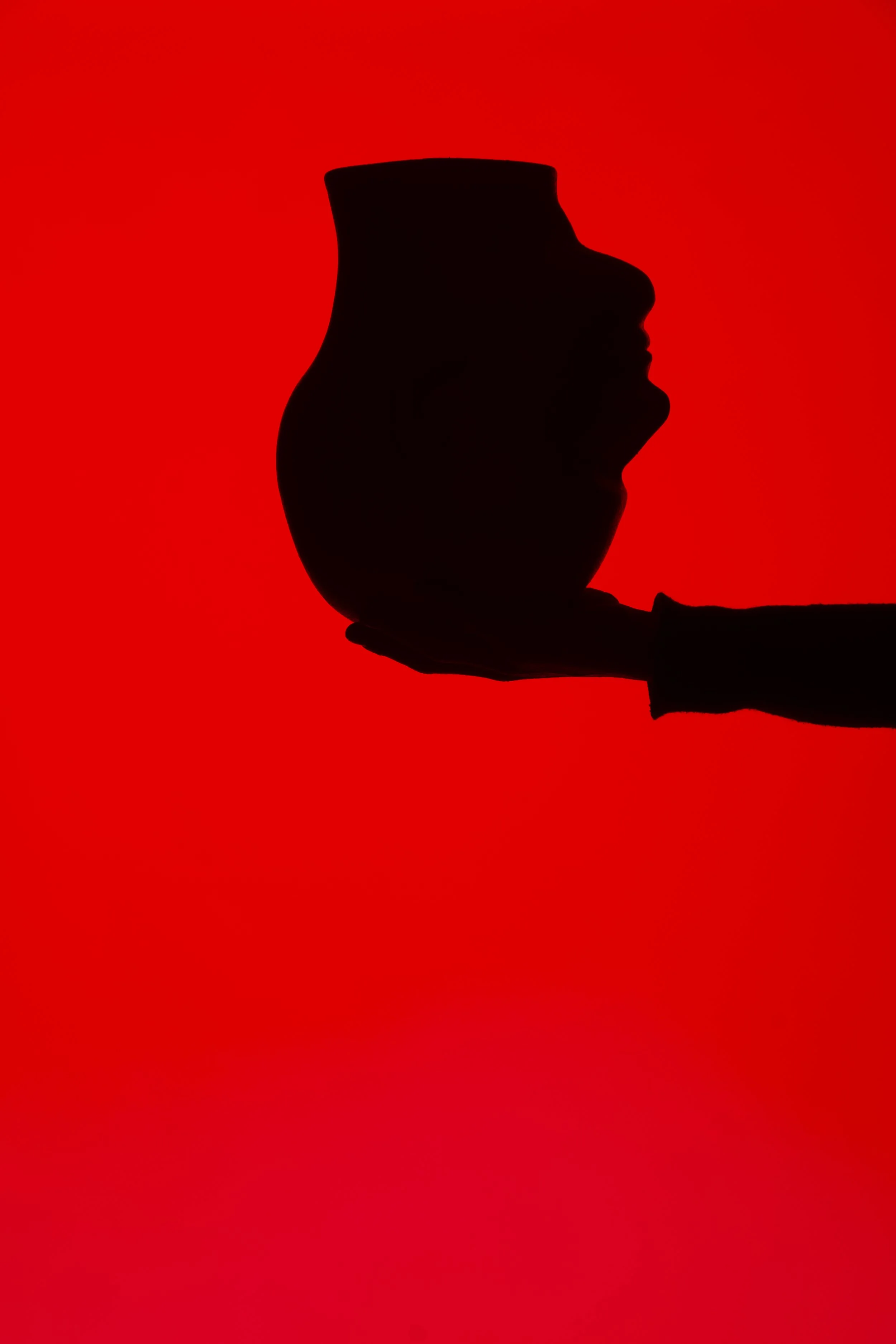  Digital Image 