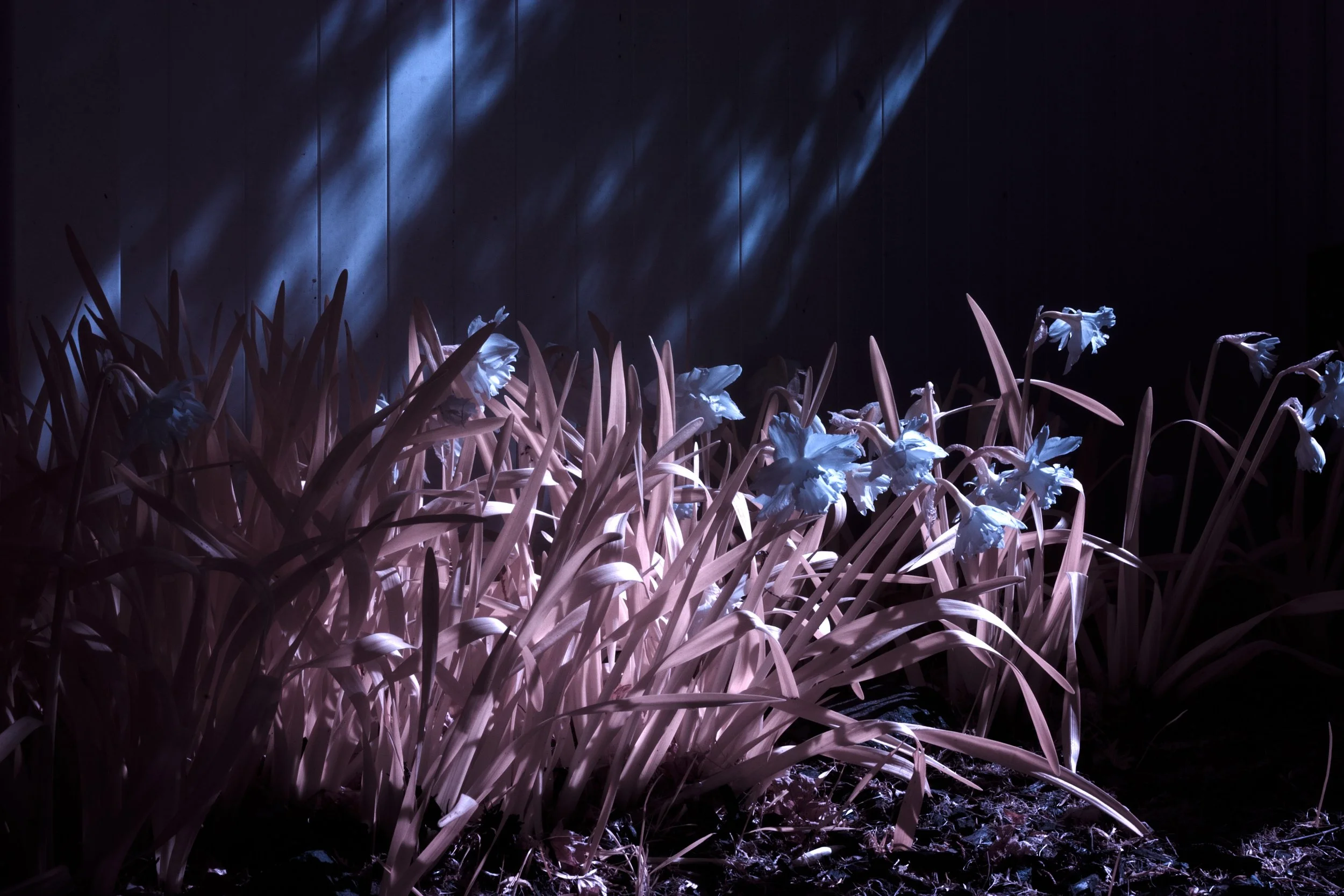  Infrared 