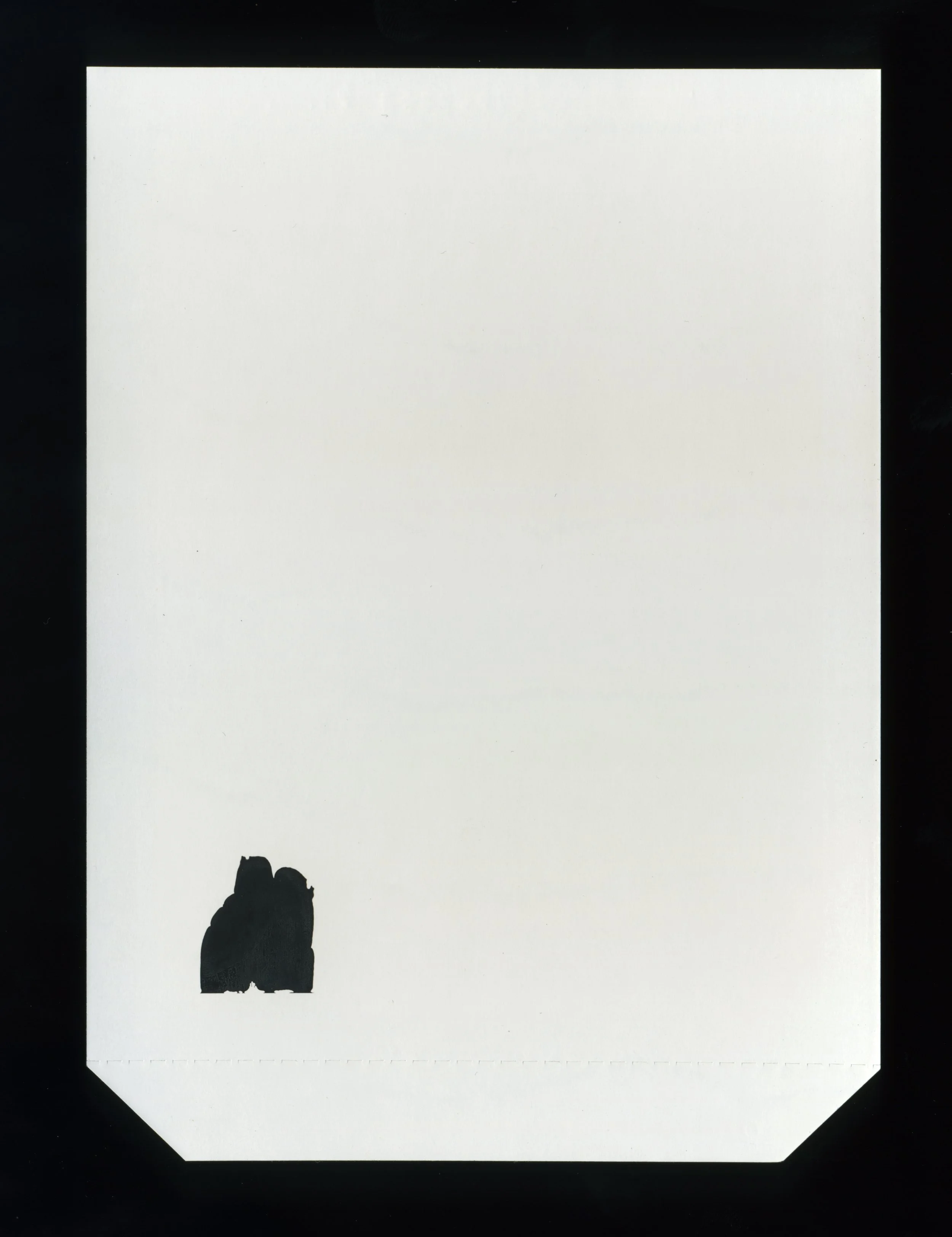  Polaroid 