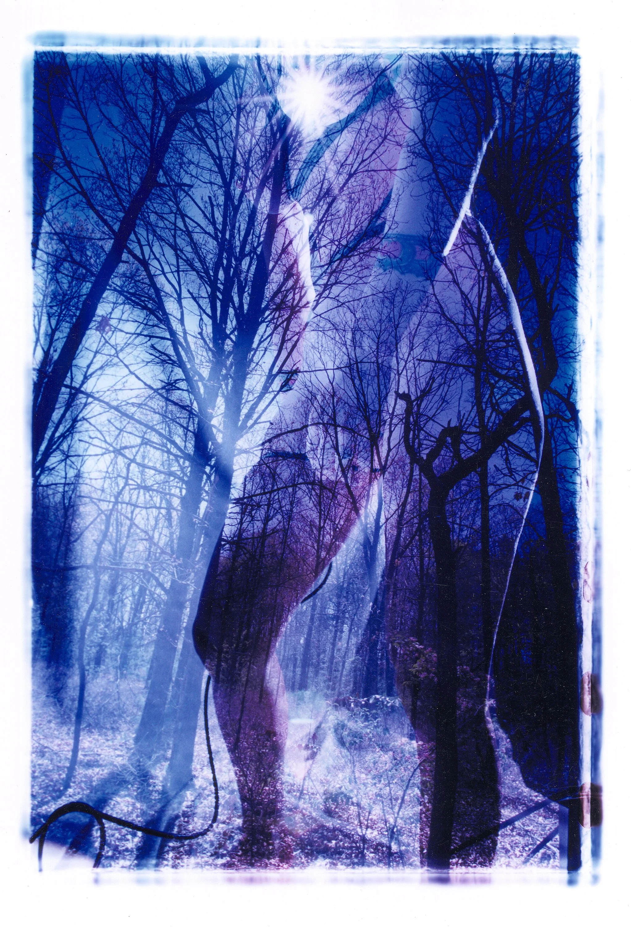  Double Exposure 
