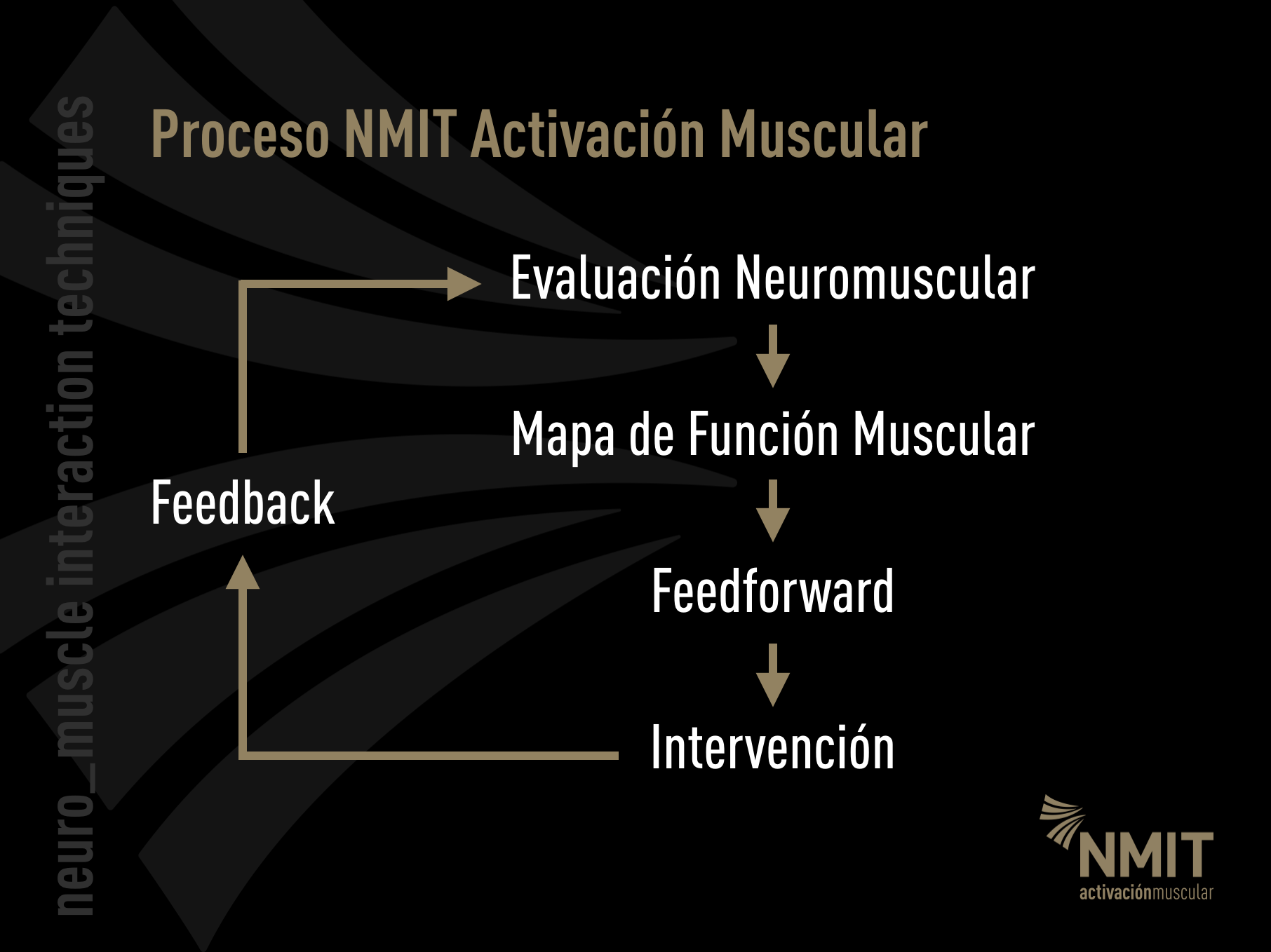modelo NMIT.png