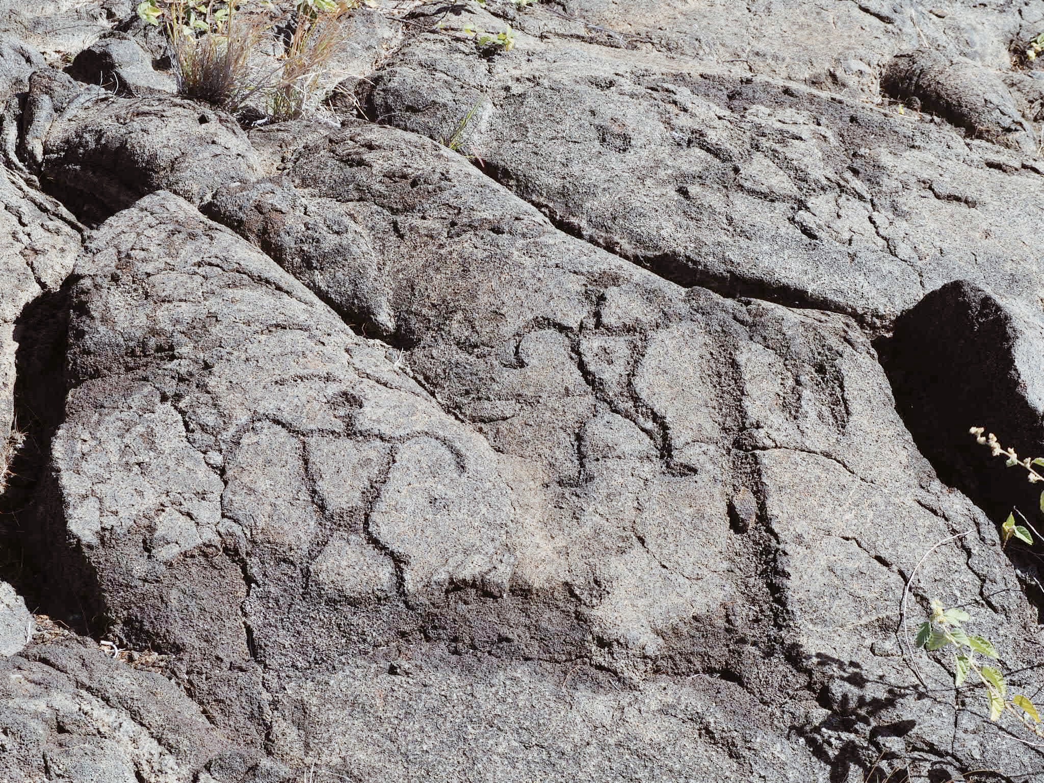 Petroglyphs  (Copy)