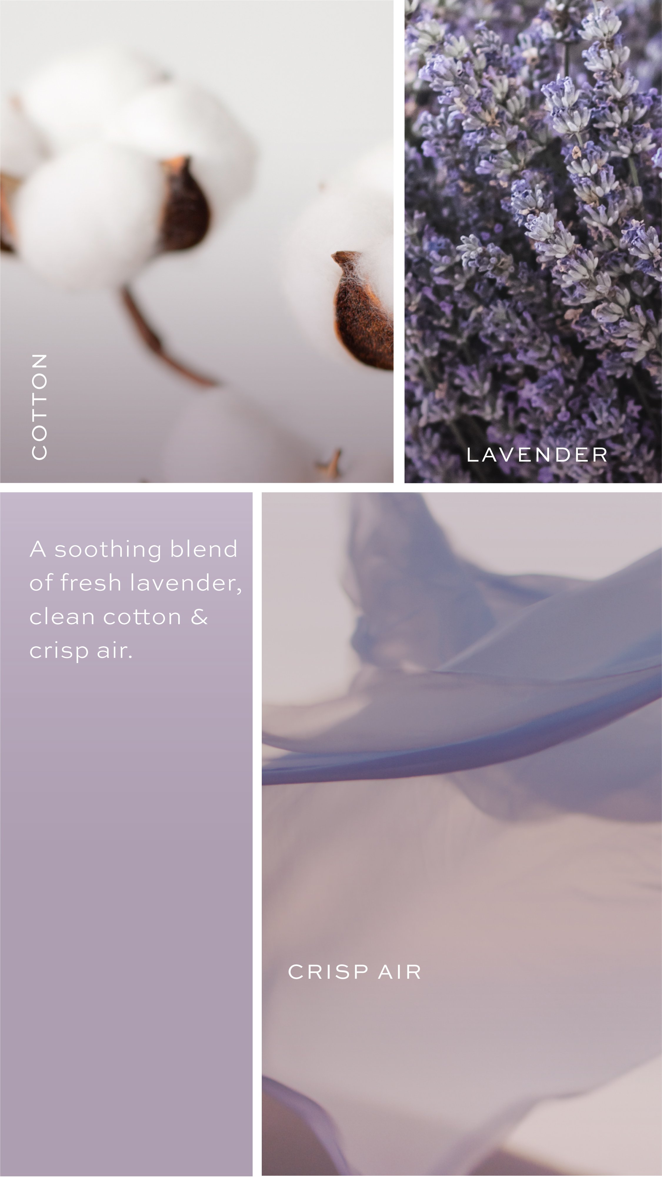 2023_DG_KP_Launch_Lavender-Cotton-Stories-02.jpg