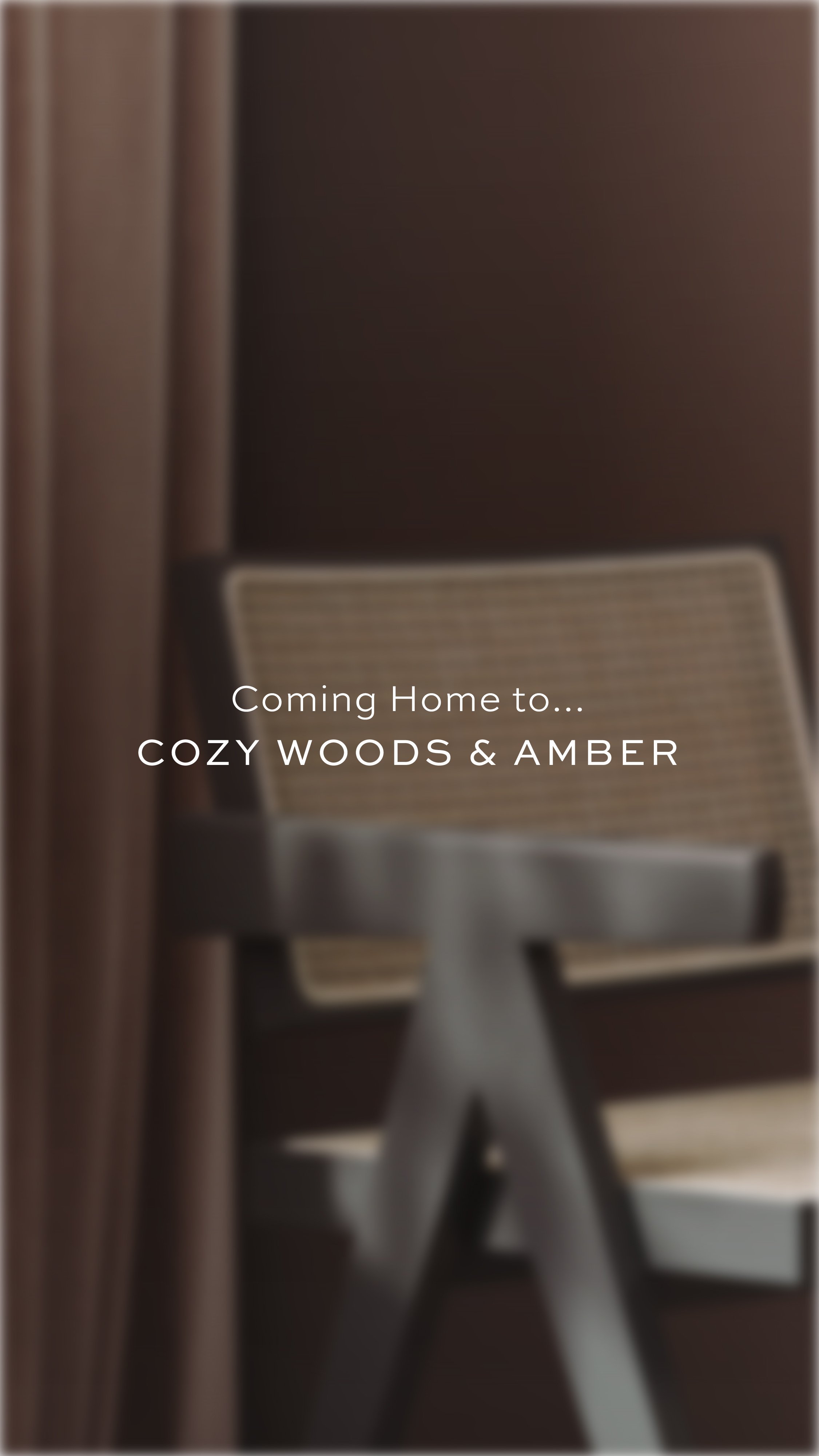 2023_DG_KP_Launch_Cozy-Woods-and-Amber-Stories-01.jpg