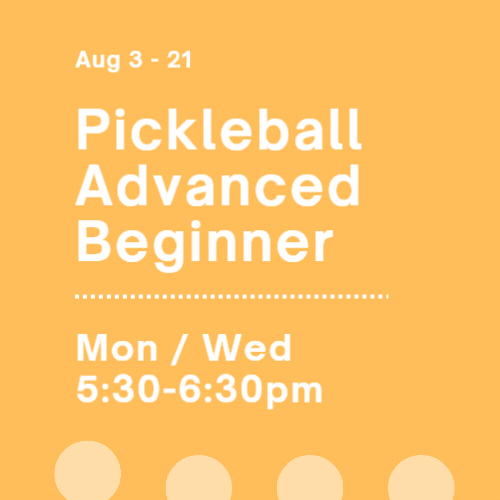 Aug Pickleball - Advanced Beginner.gif