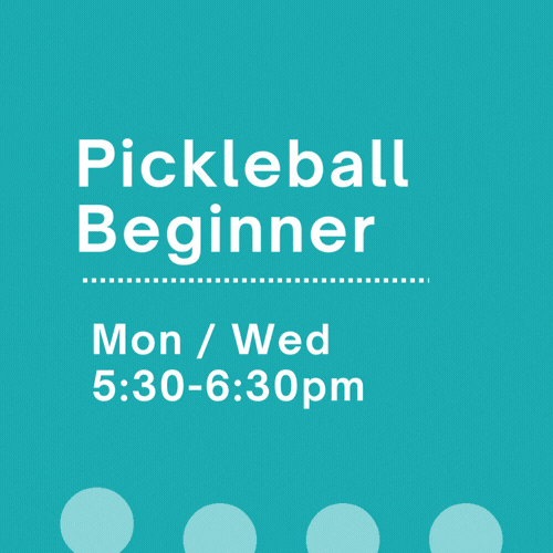 Pickleball - Beginner.gif