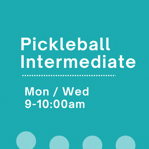 Pickleball - Intermediate.gif