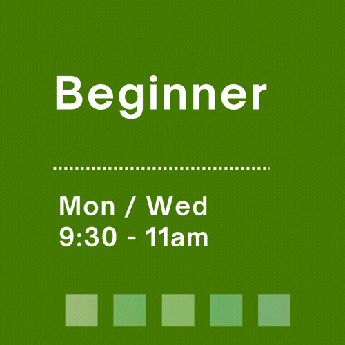 Adult Beginner • M / W • 9:30 - 11 am