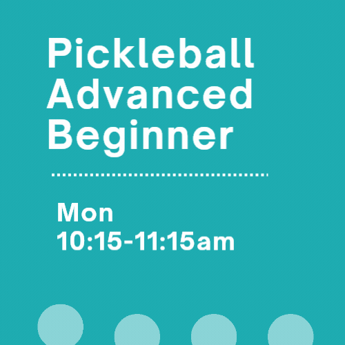 Pickleball - Advanced Beginner.gif