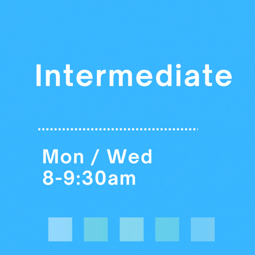 Intermediate.gif