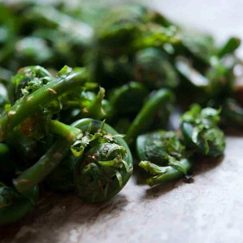 fiddleheads.jpg