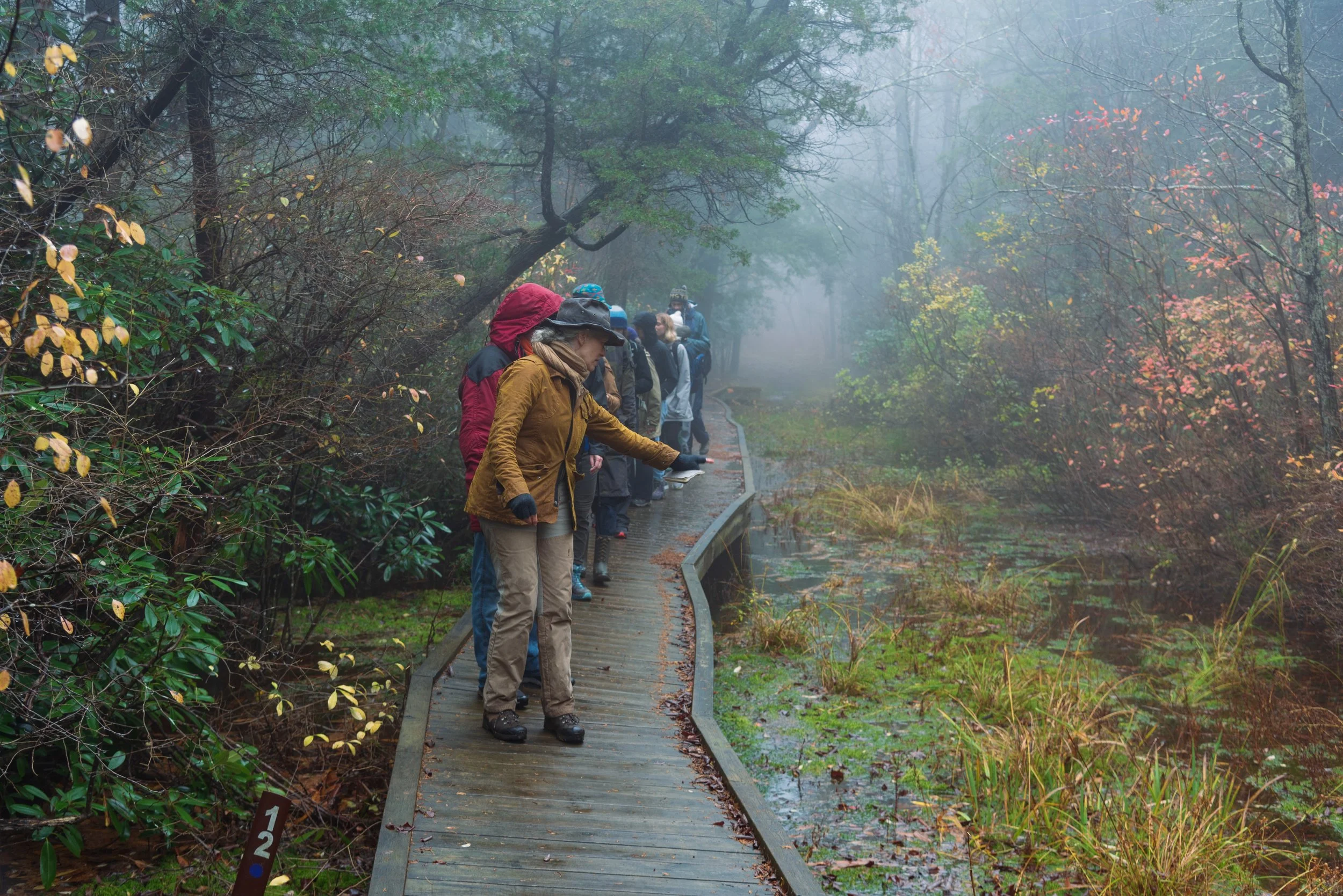 group walk_bridge2.jpg