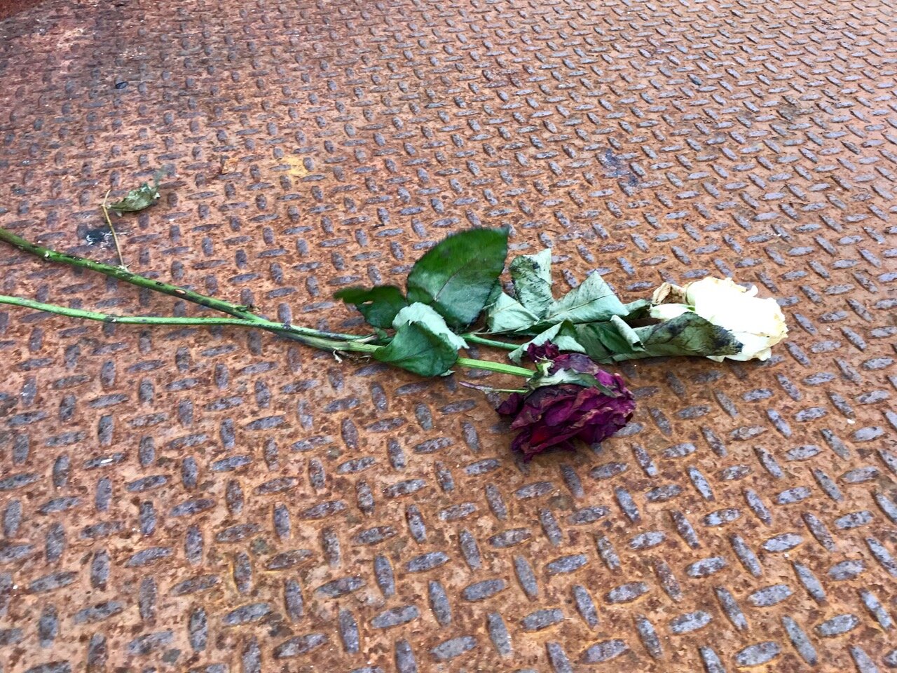  … and to see the fresh flowers still being laid out to commemorate lives lost not long ago. 