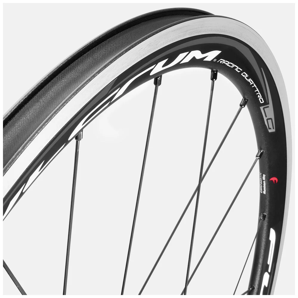 2018_Racing_Quattro_LG_rim_focus_1.jpg
