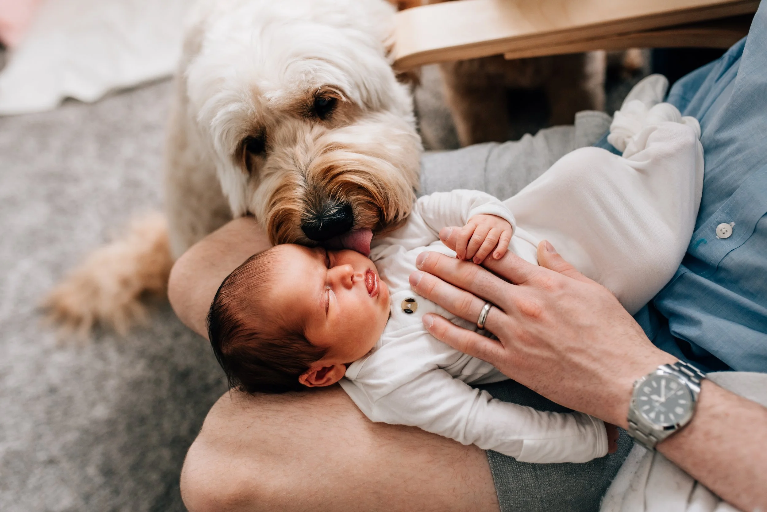 Baby Claire | In-Home Newborn Session