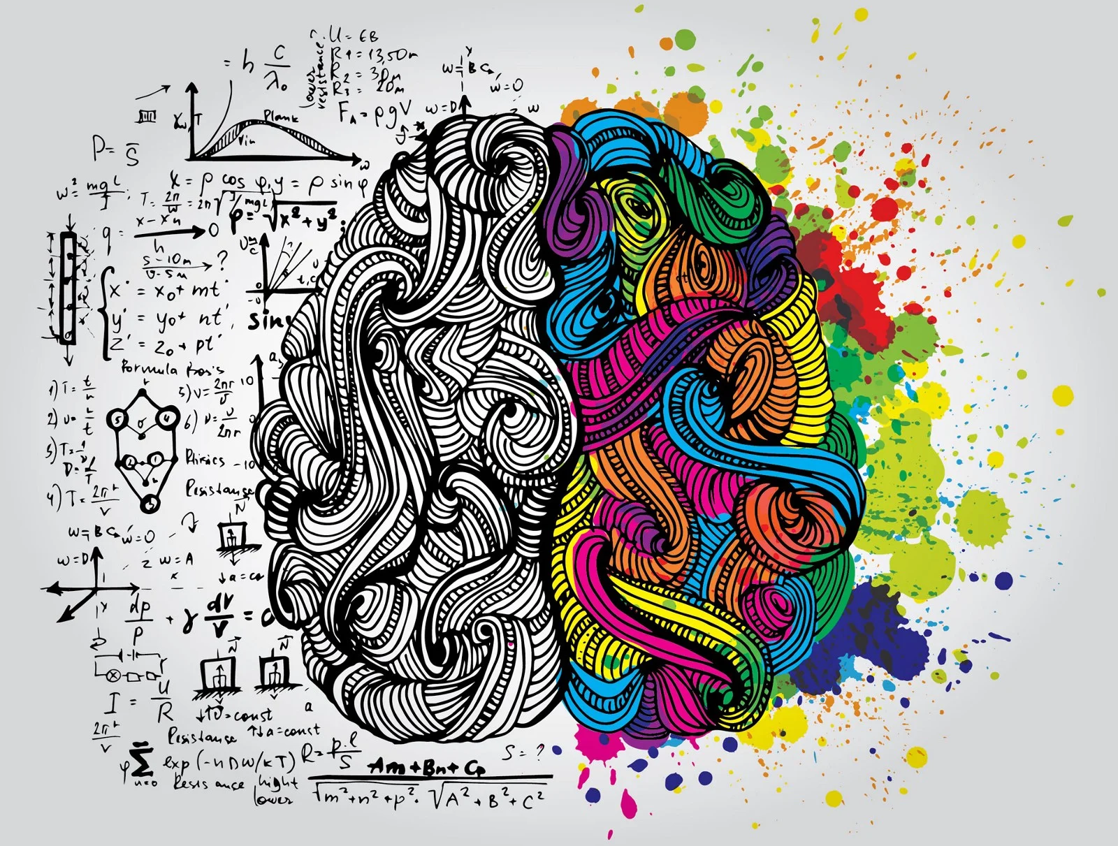 left right brain image.jpeg