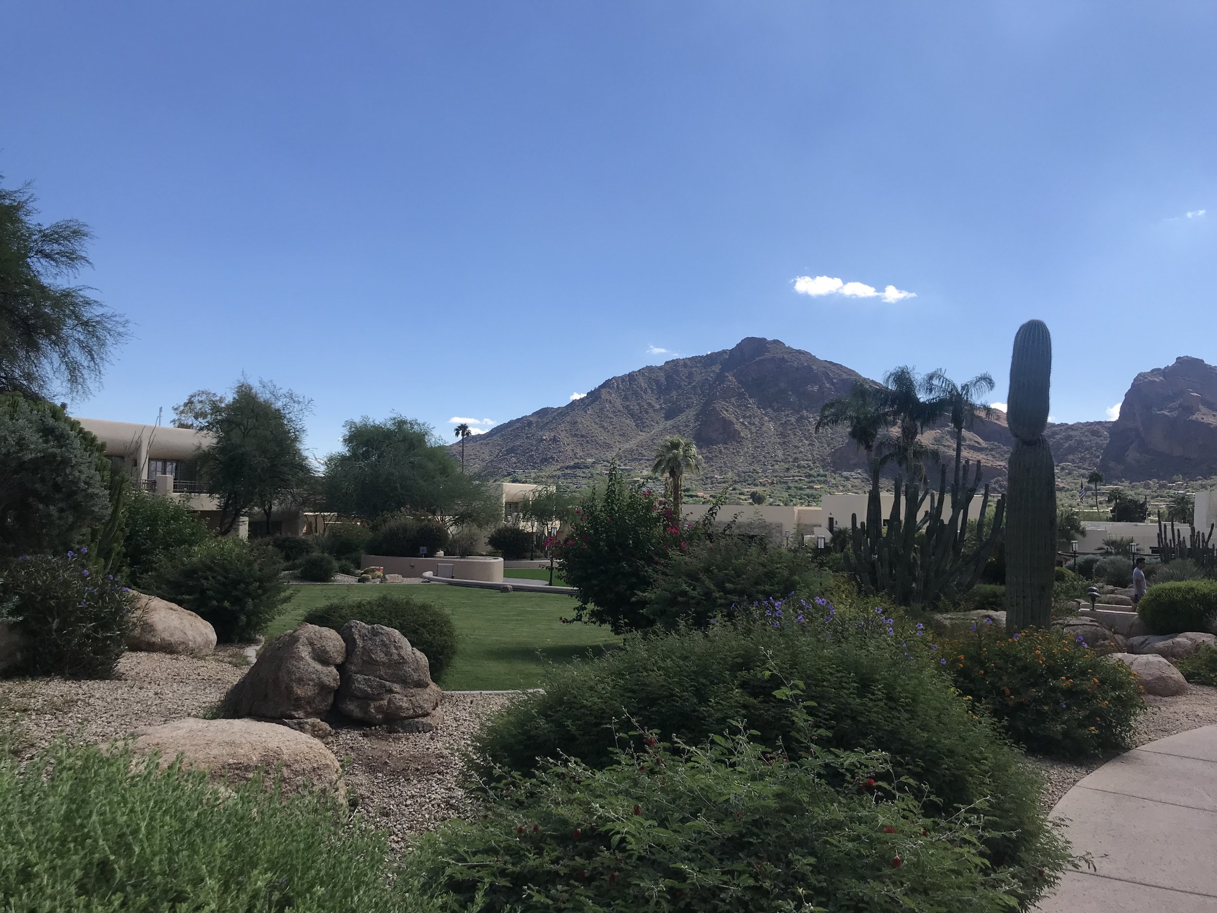 IMG_7218.jpeg