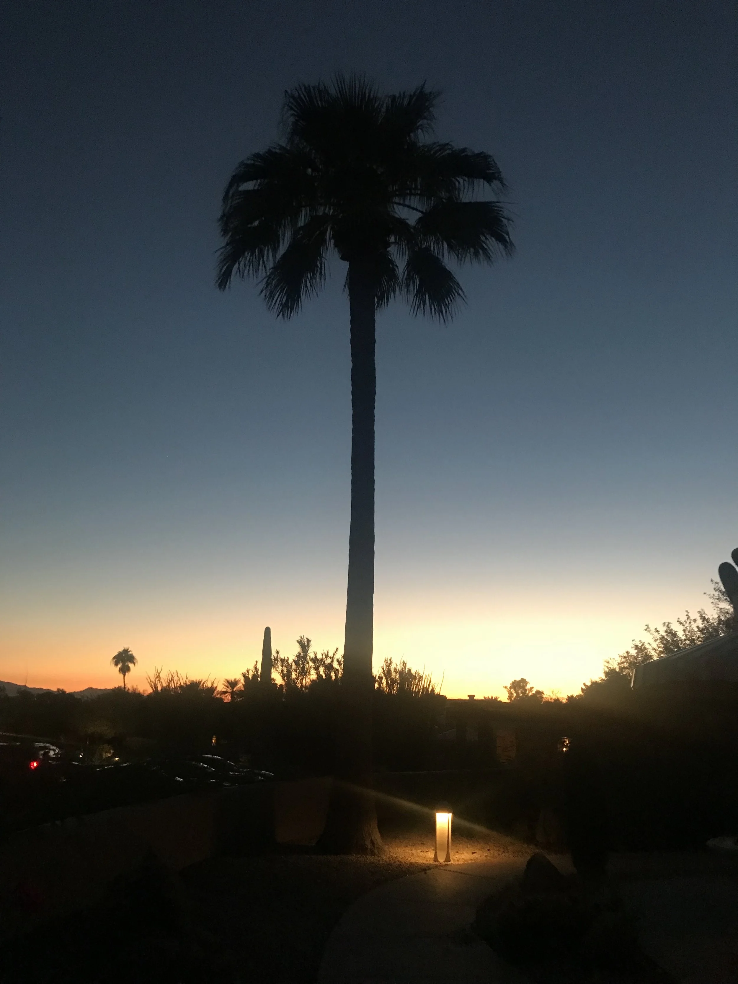 IMG_5632.jpeg