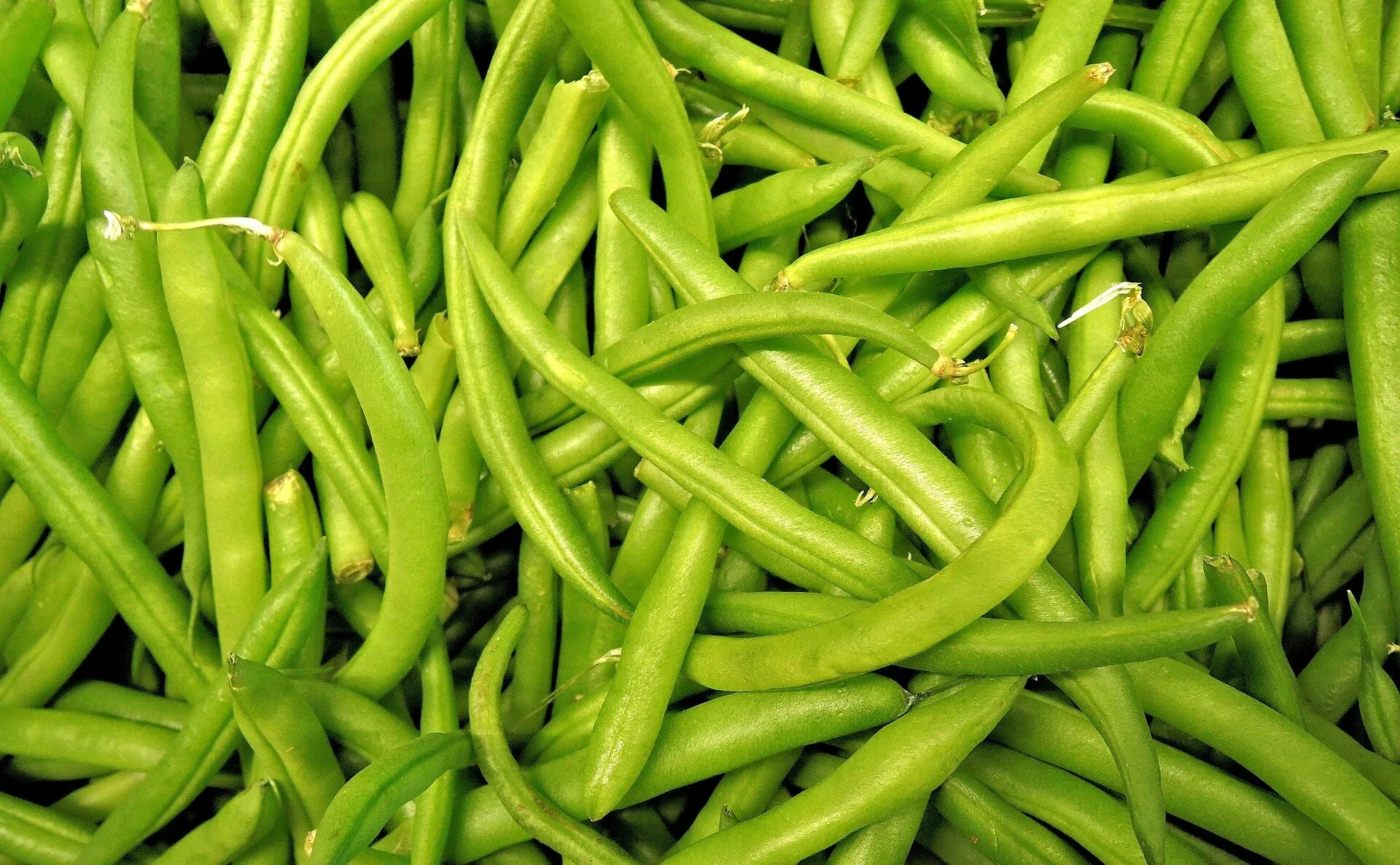 beans2.jpg