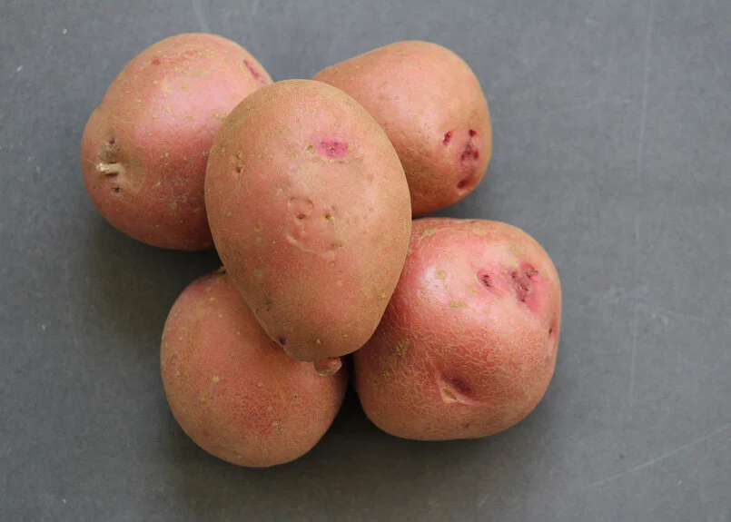 SFC_potato_red_skinned.jpg