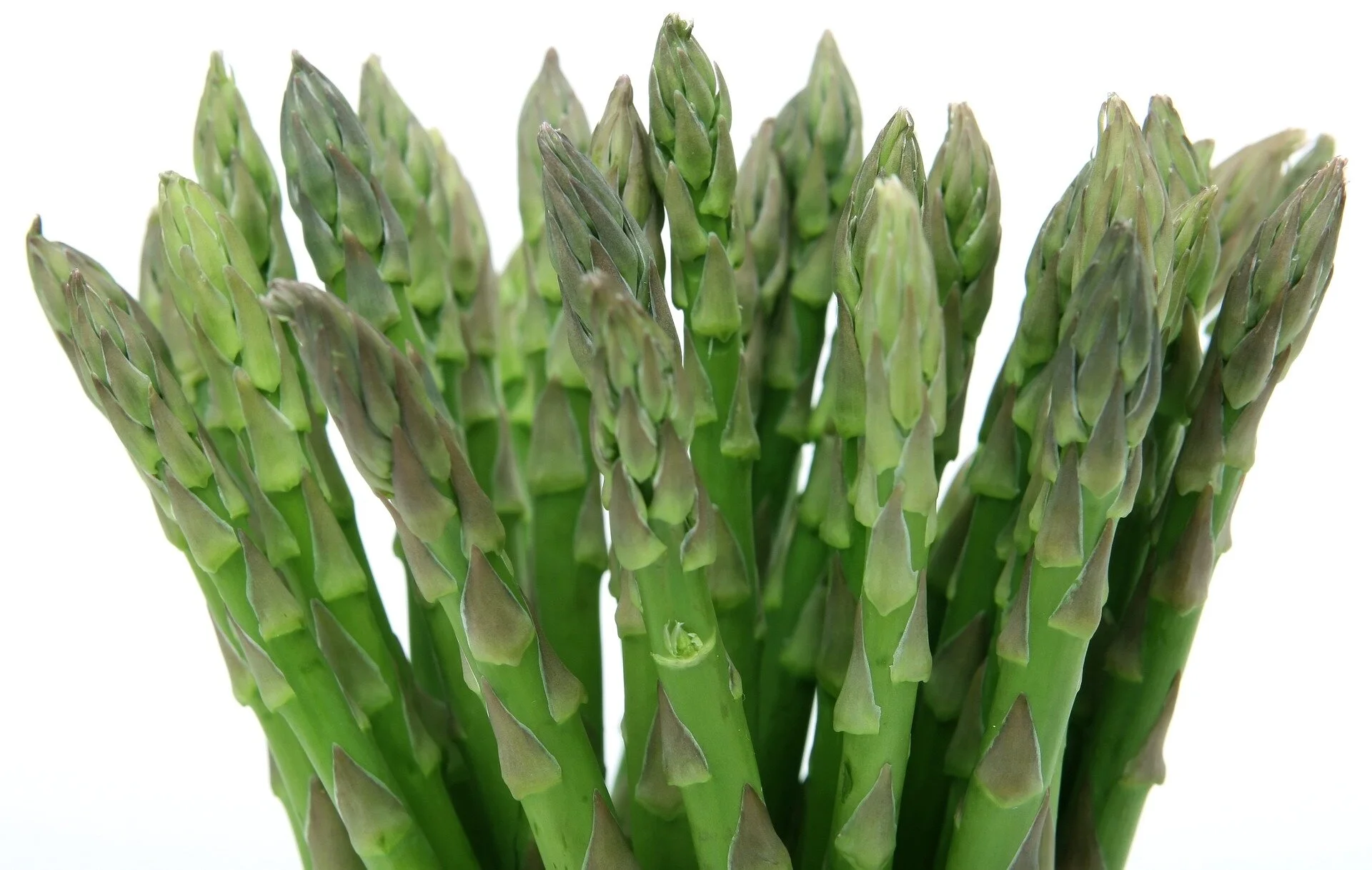 asparagus.jpg